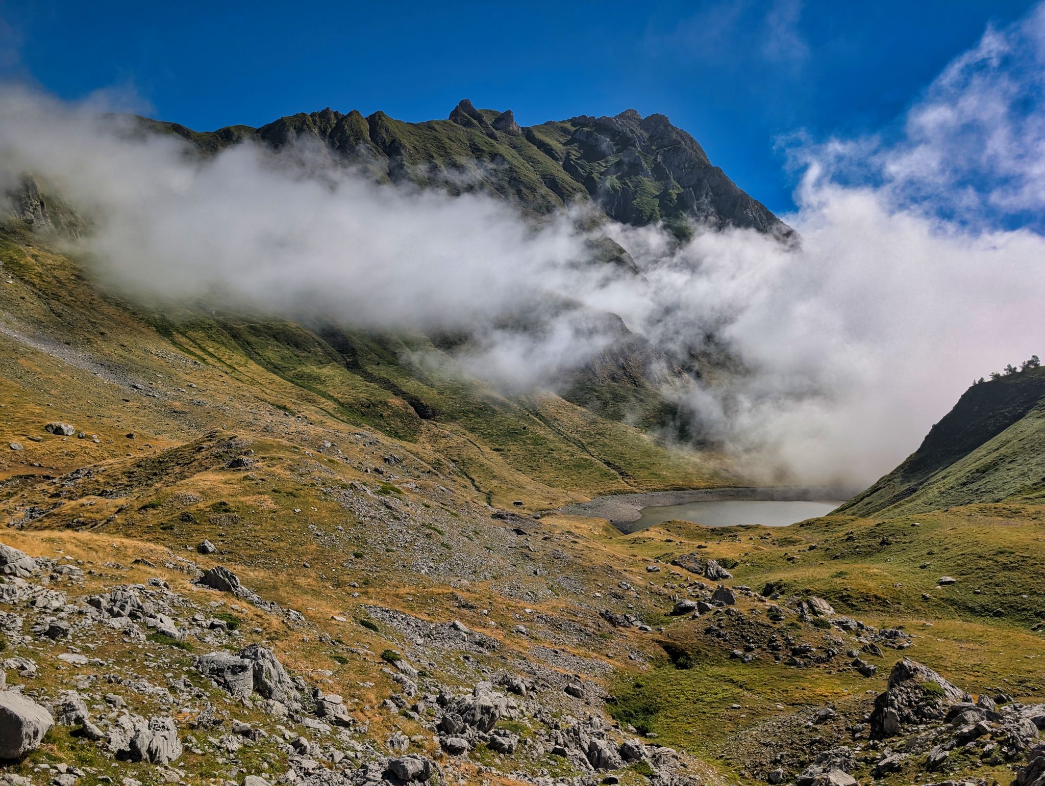 PXL 20250708 084504074