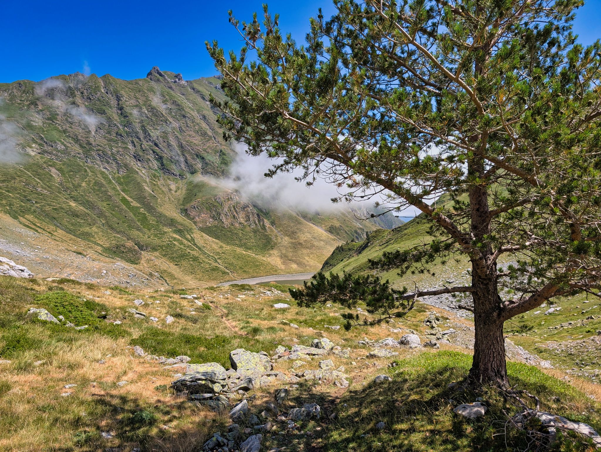 PXL 20250708 105901375