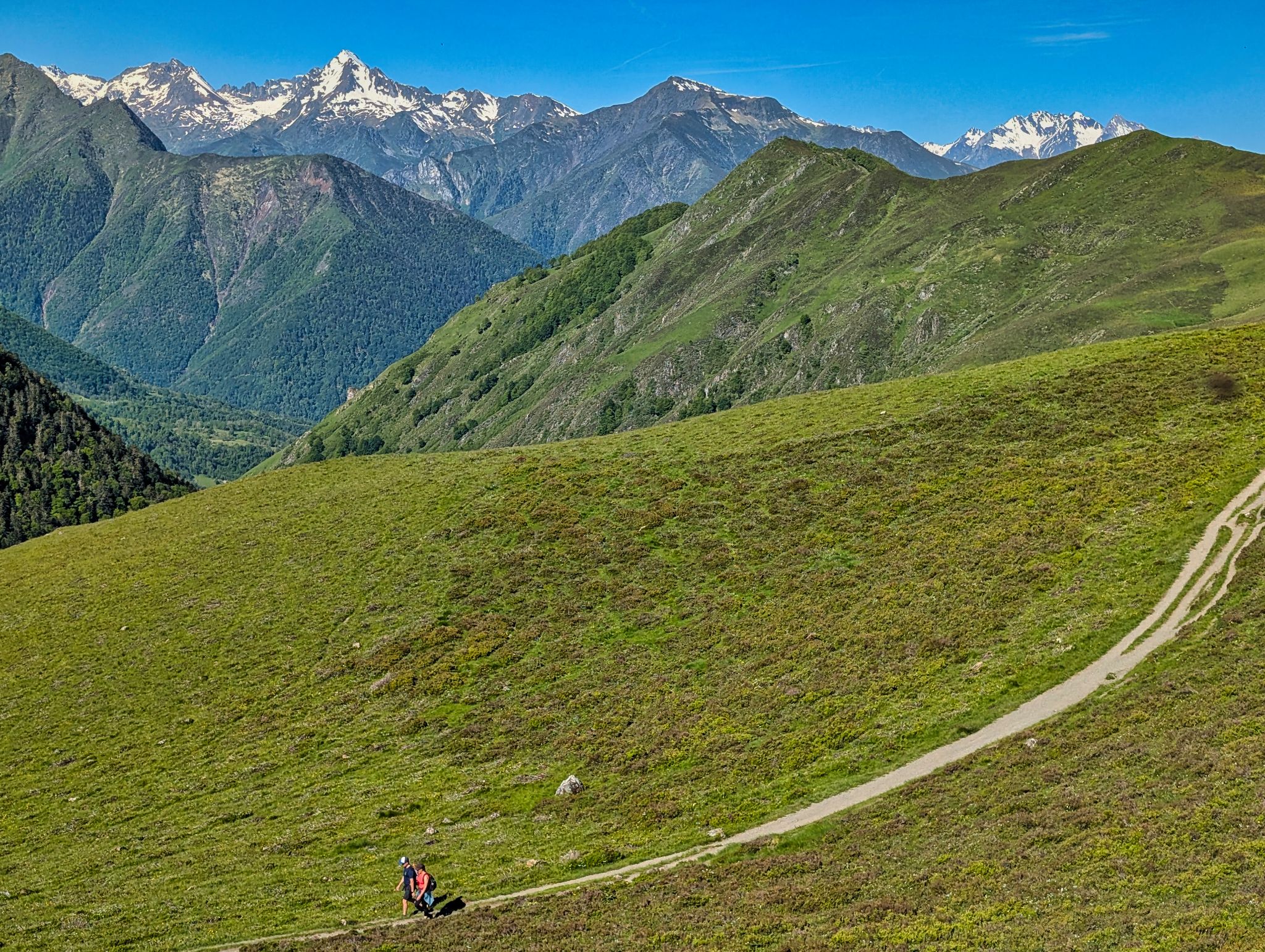 PXL 20250529 075830766