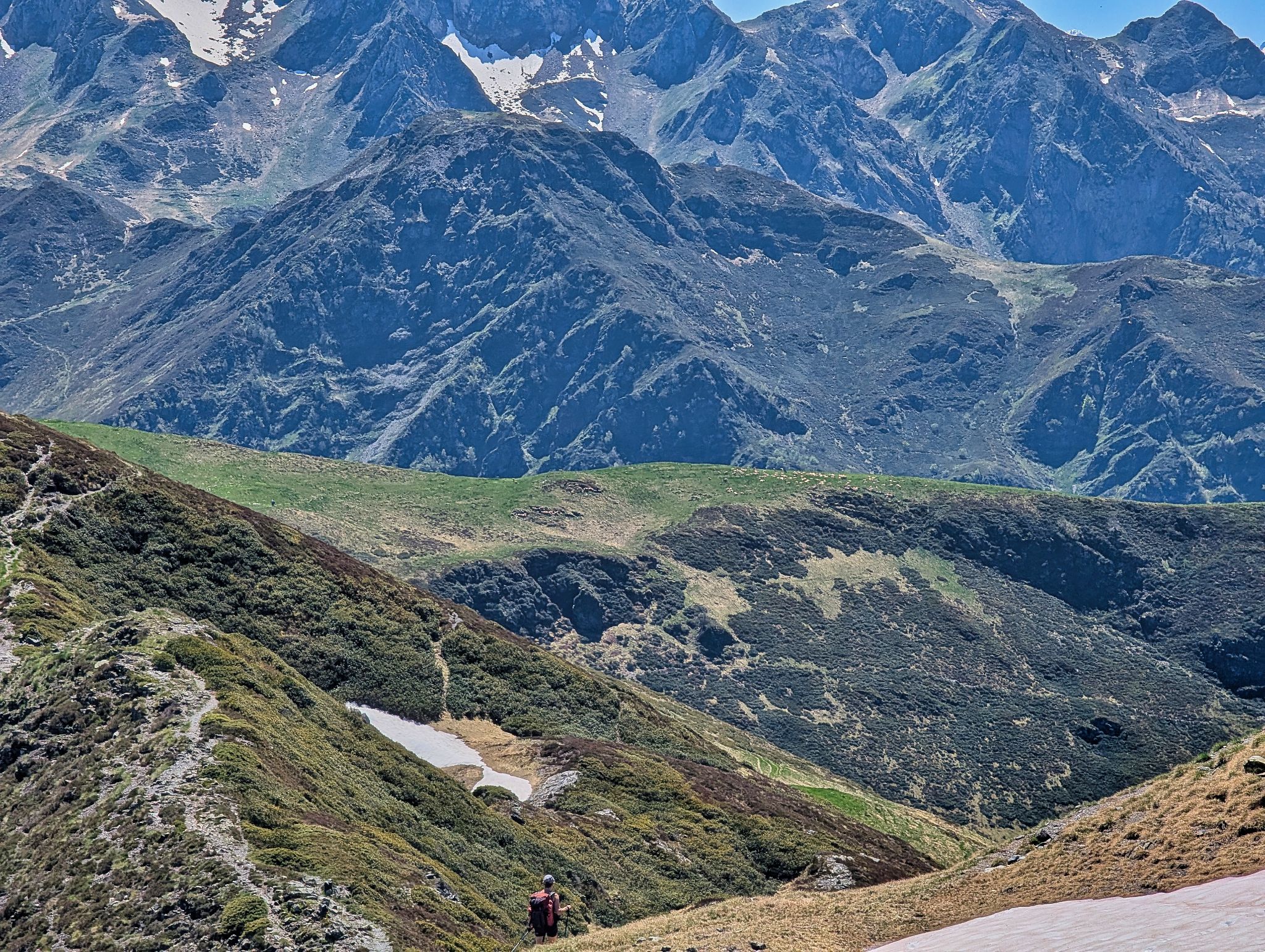 PXL 20250529 130406722