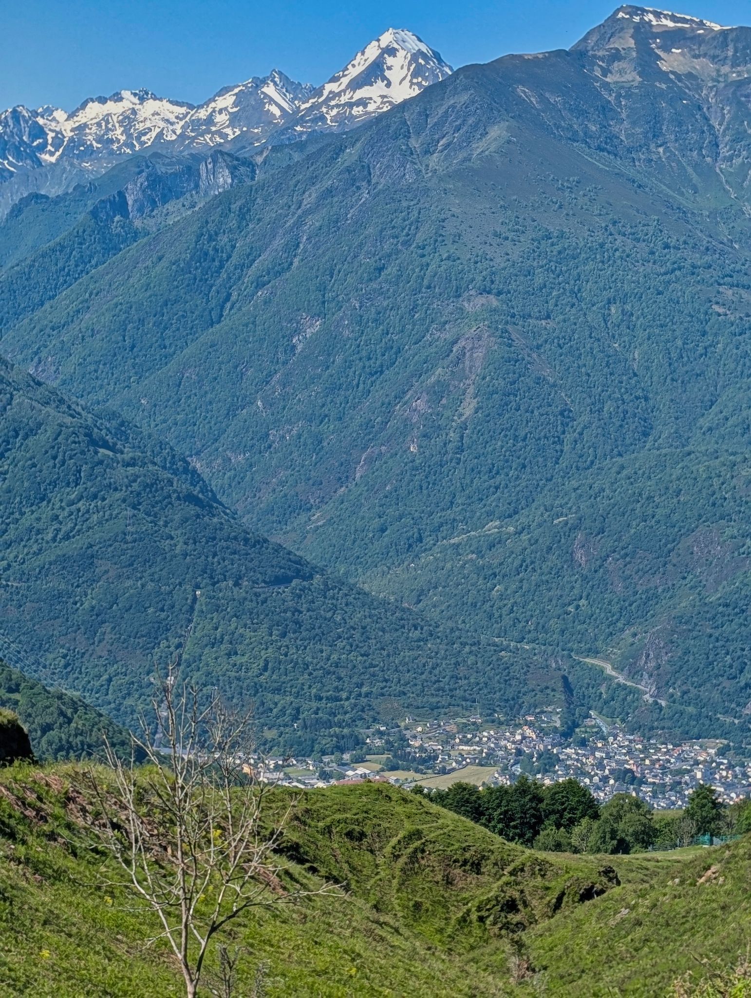 PXL 20250530 084839649