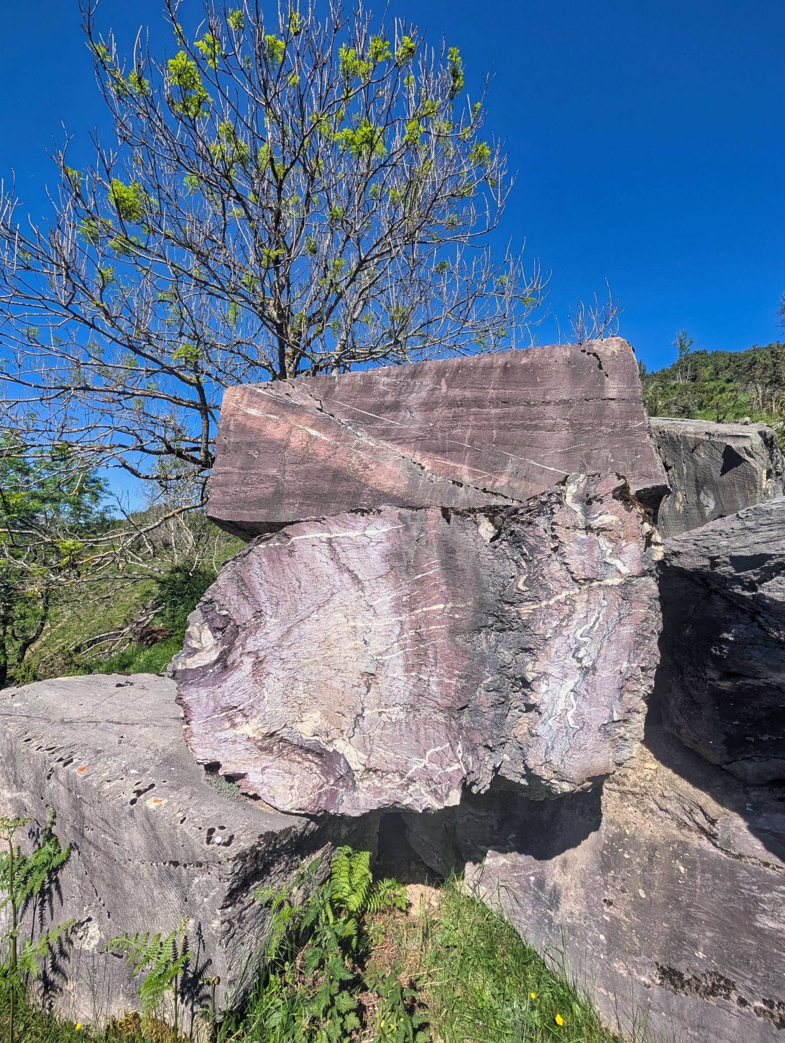 PXL 20250530 085825117