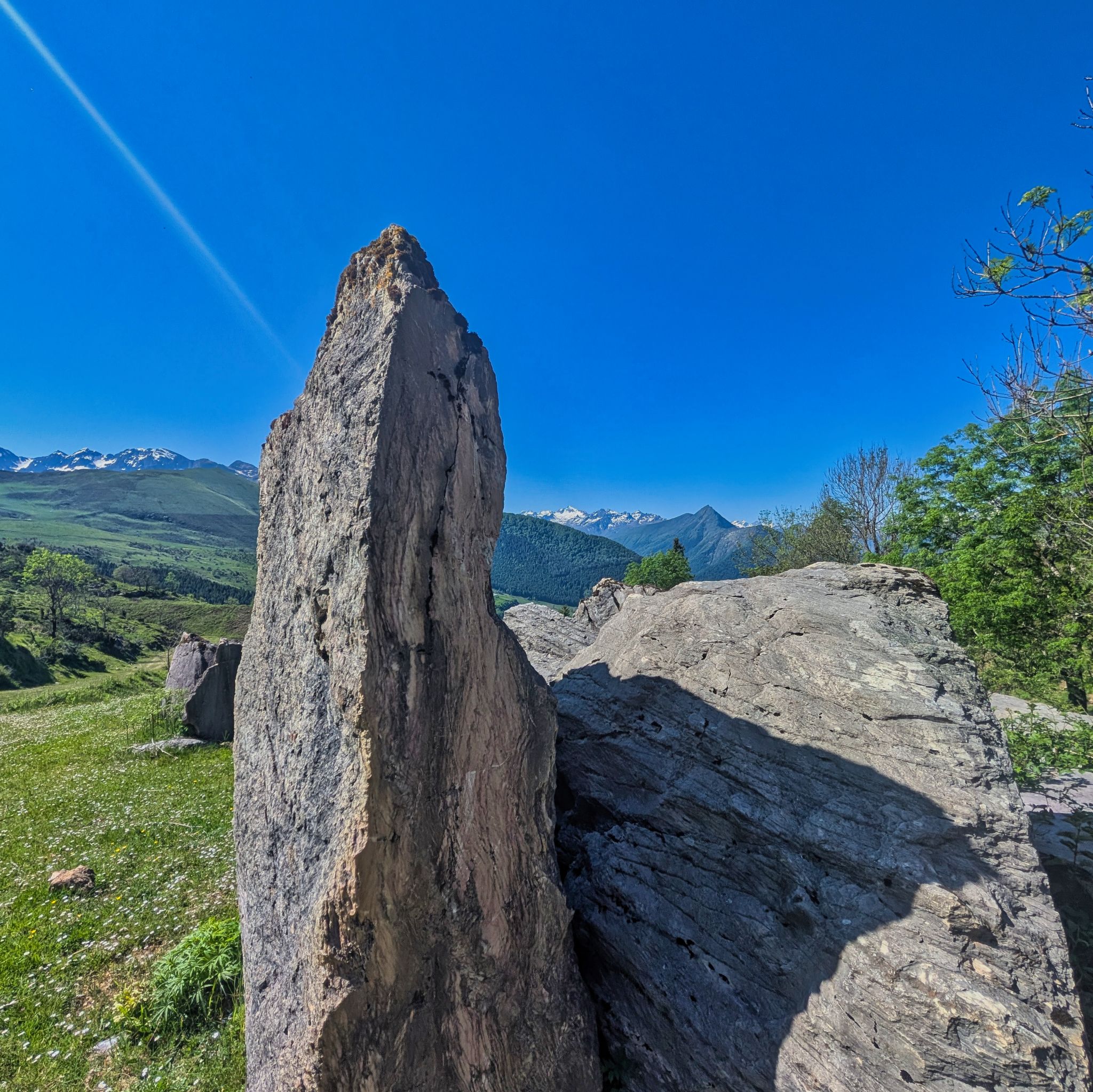 PXL 20250530 085835257