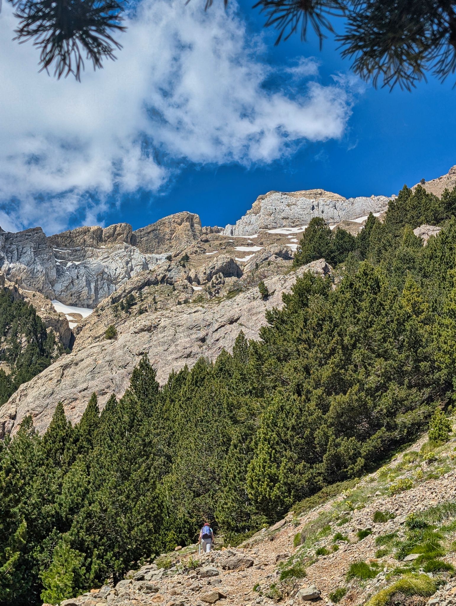 PXL 20250517 095134388