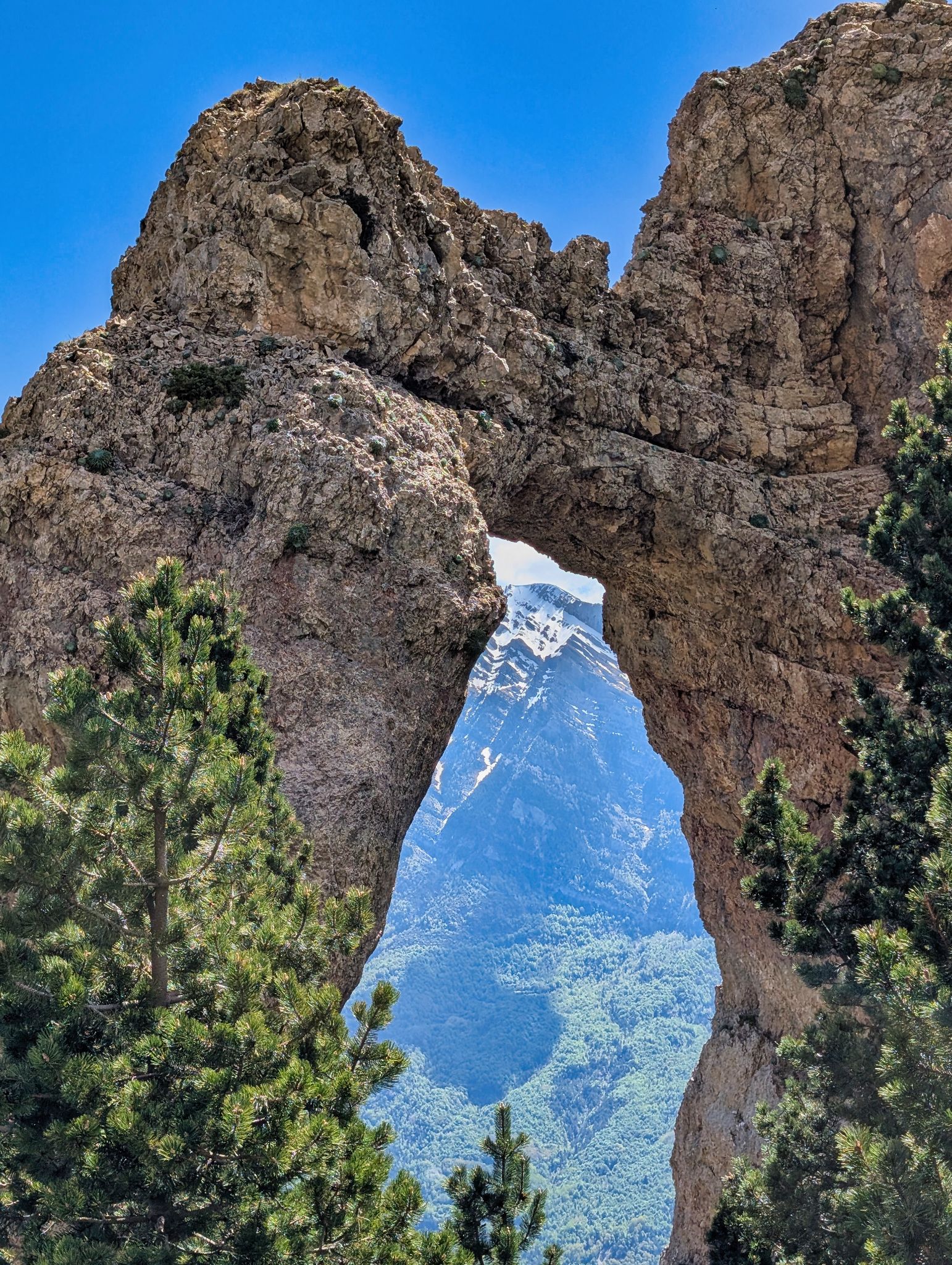 PXL 20250517 100917151