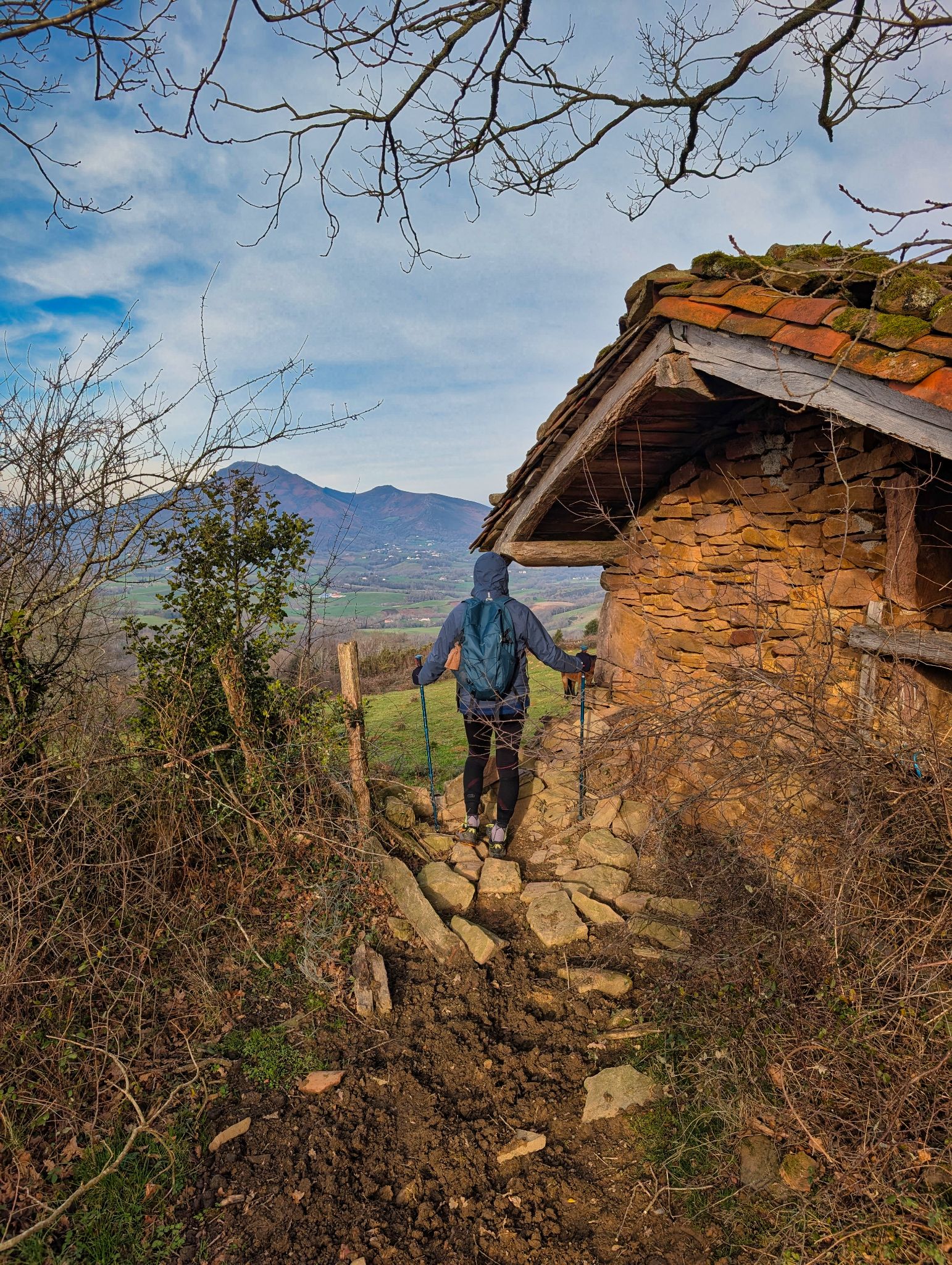 PXL 20260101 100224769