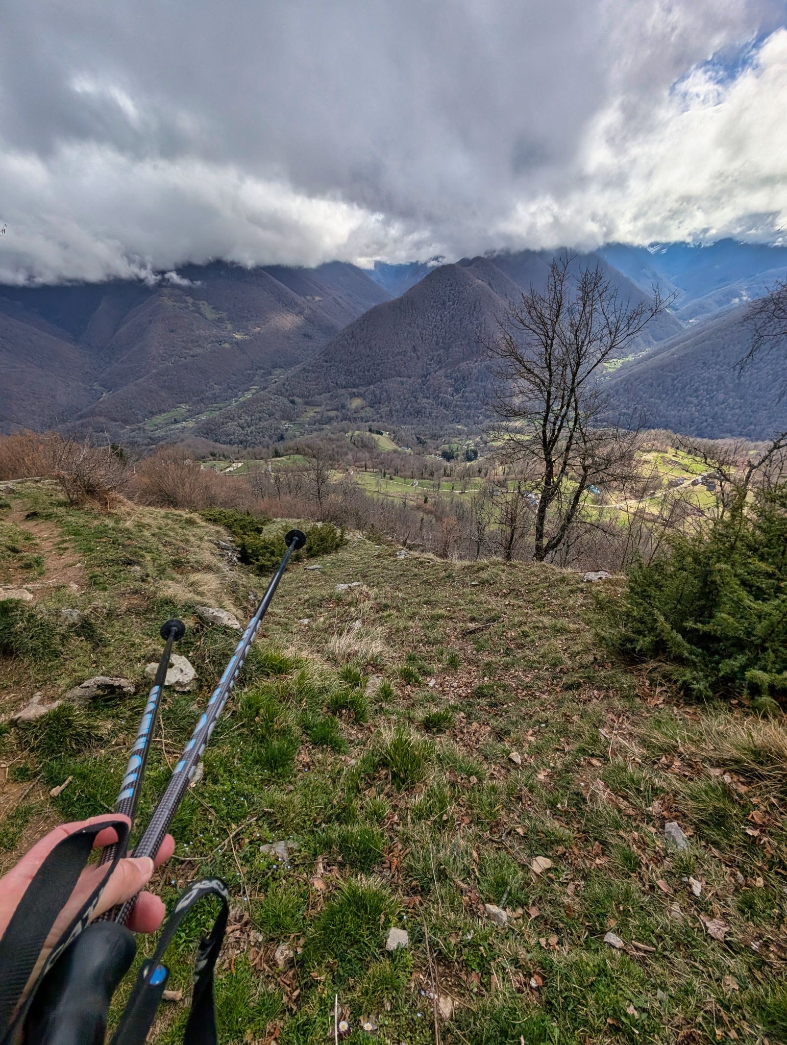 PXL 20260308 124422410