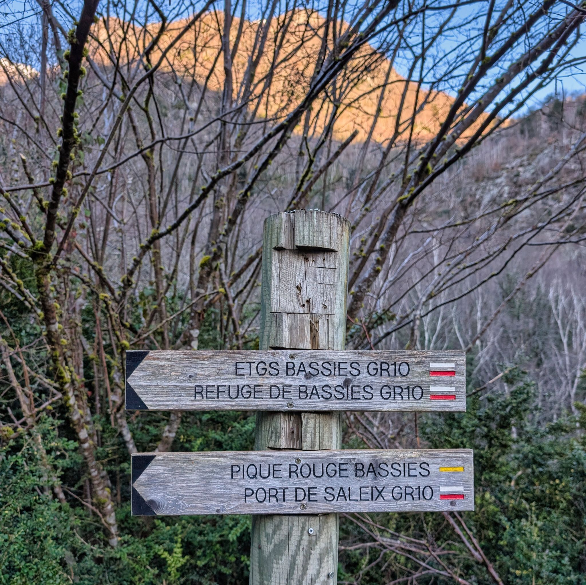 PXL 20260310 074756800