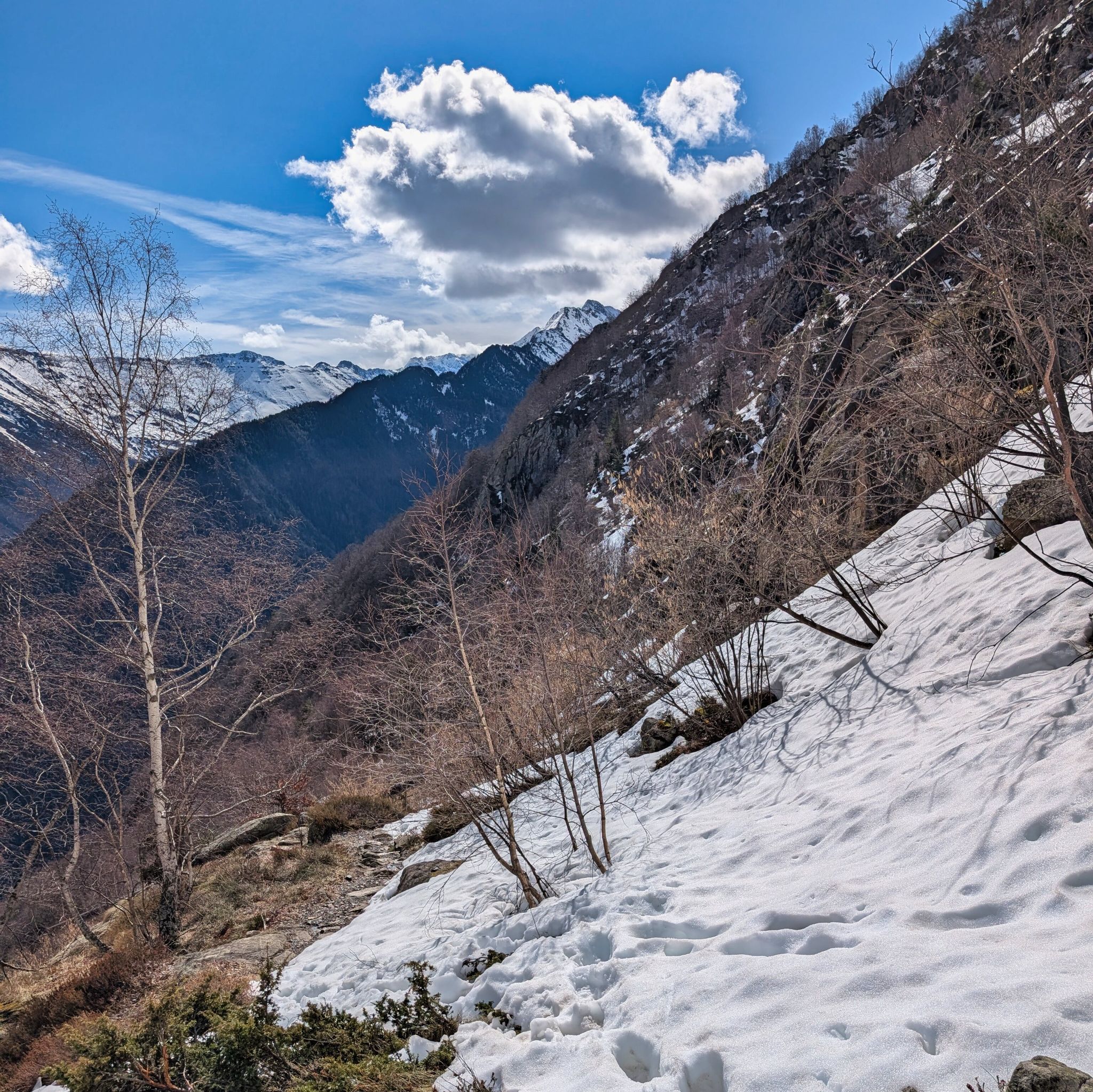 PXL 20260310 102157102