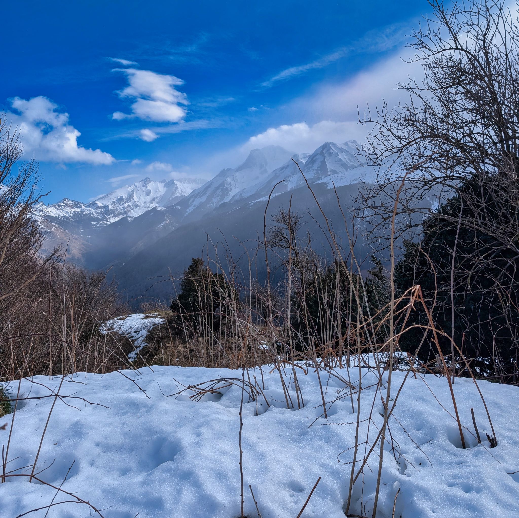 PXL 20260203 120506217