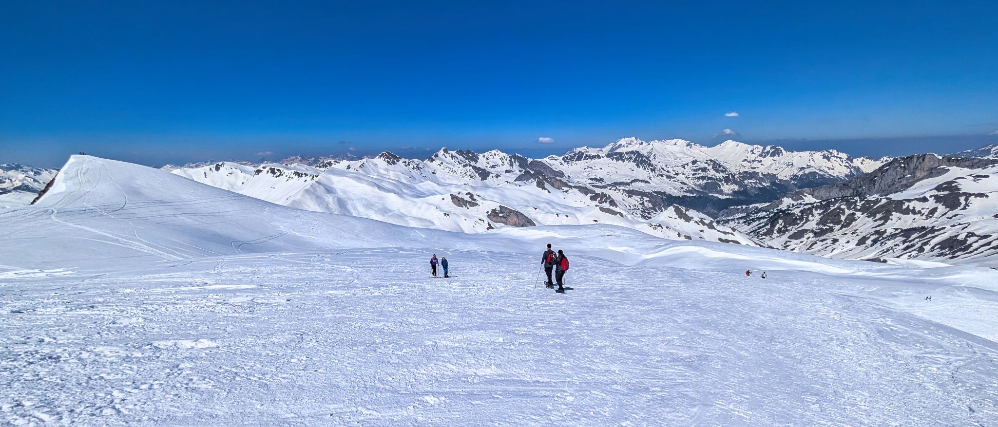 PXL 20260321 113202473