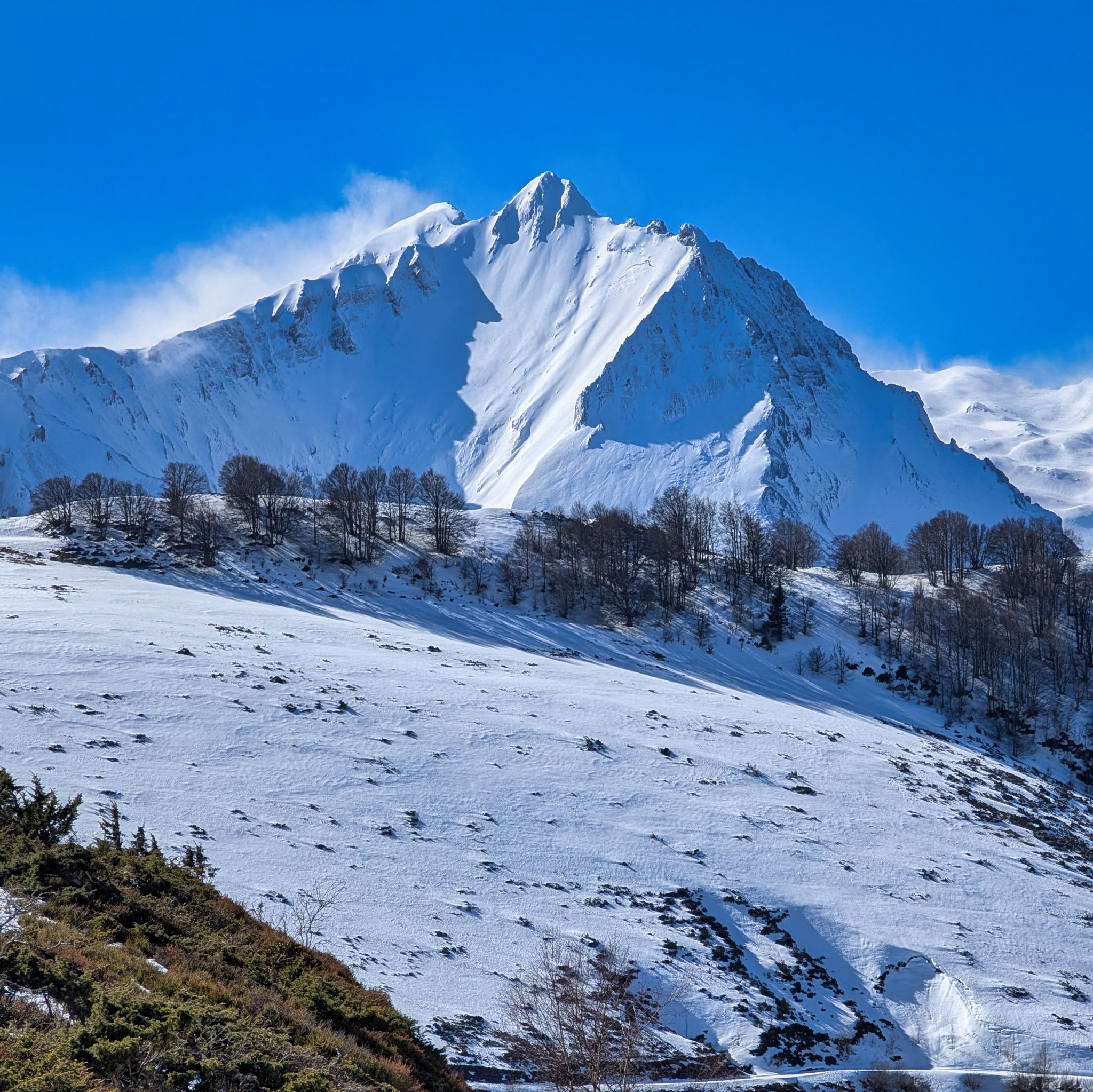 PXL 20260218 111645453