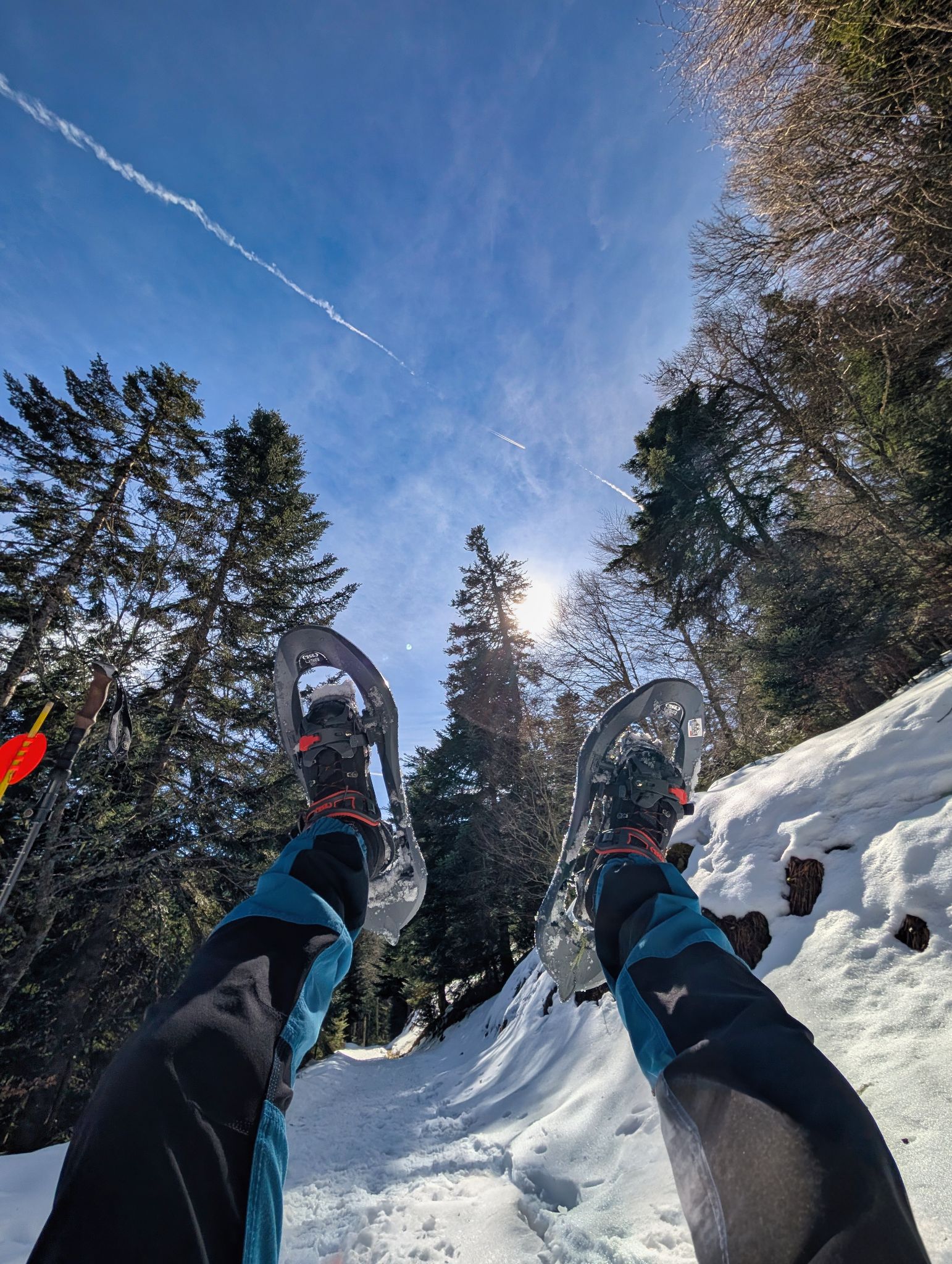 PXL 20260218 122825528 genErase