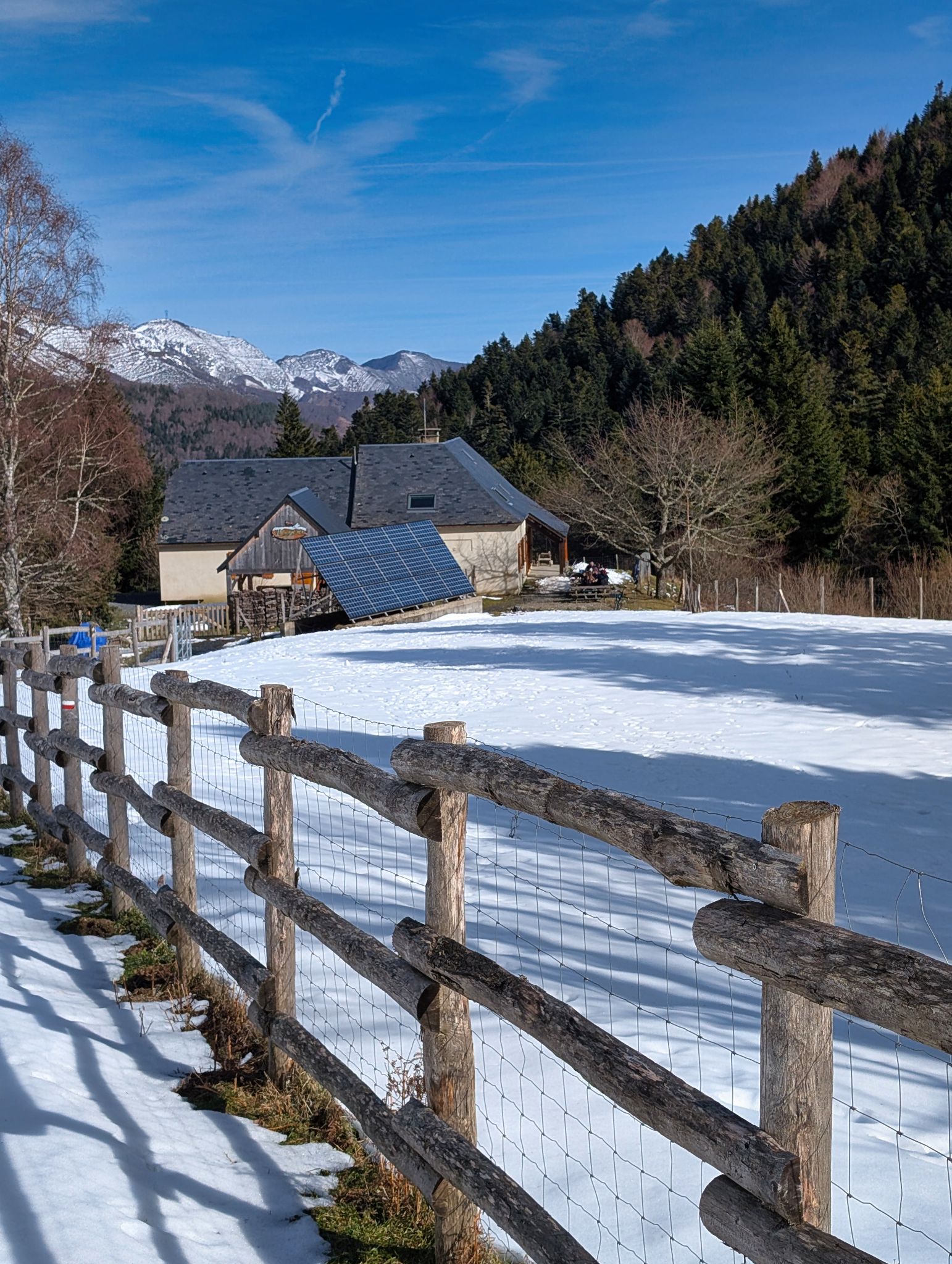 PXL 20260218 125501800