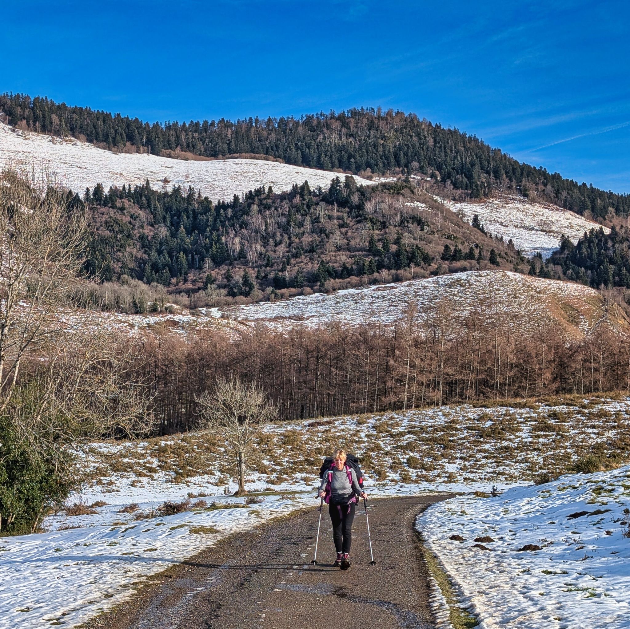 PXL 20260112 094416833.MP