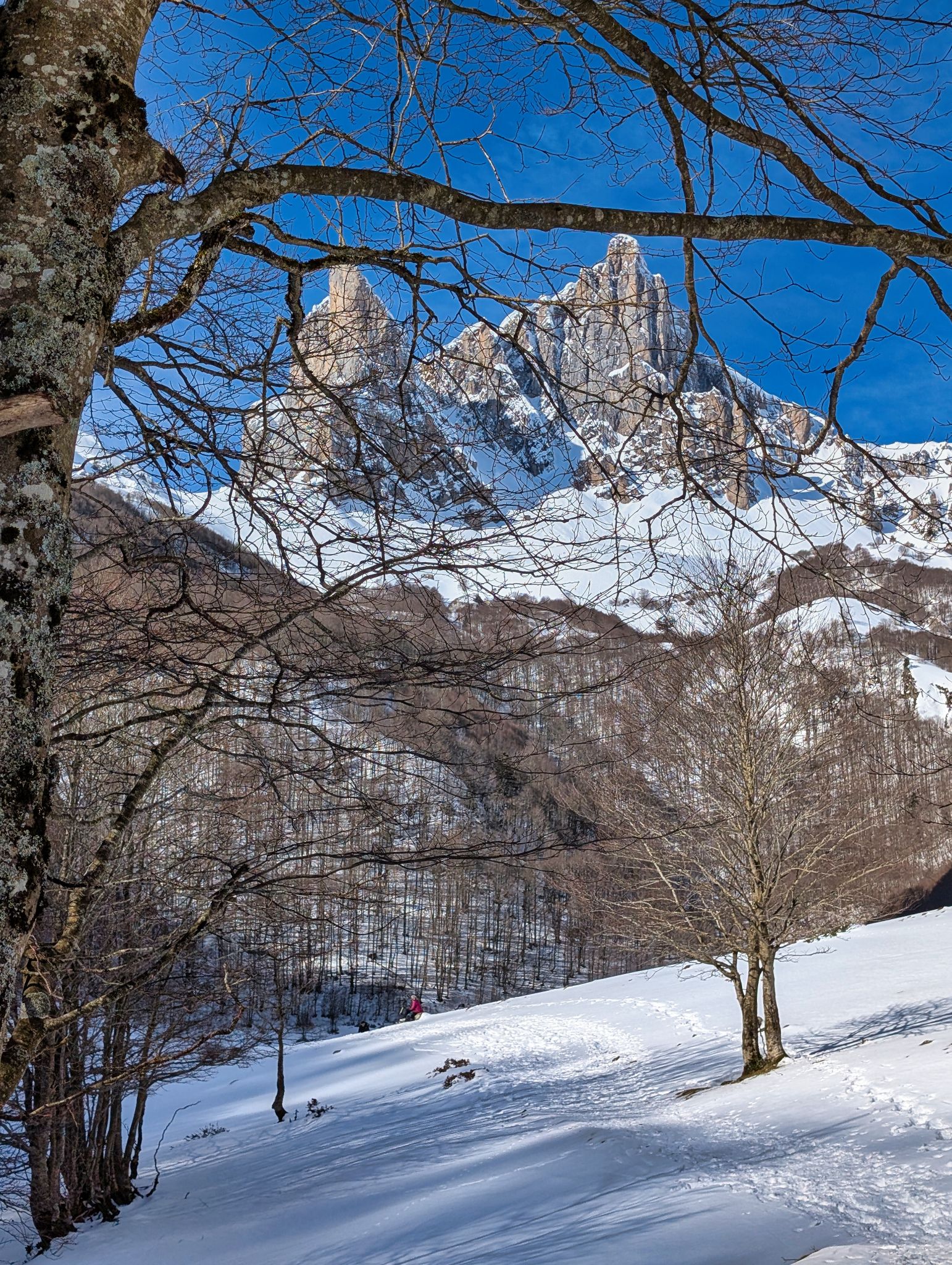 PXL 20260222 100325281