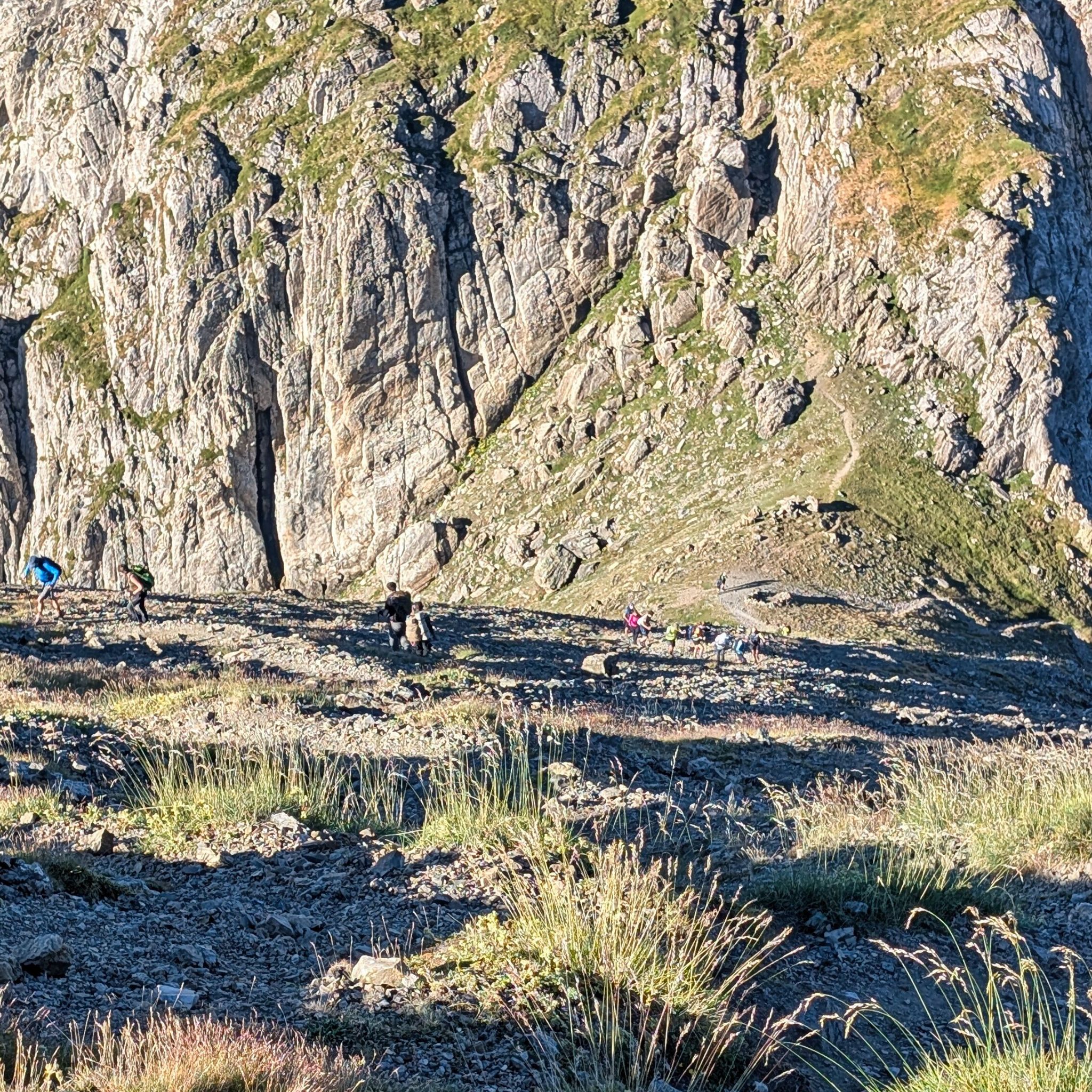 PXL 20260728 064737340