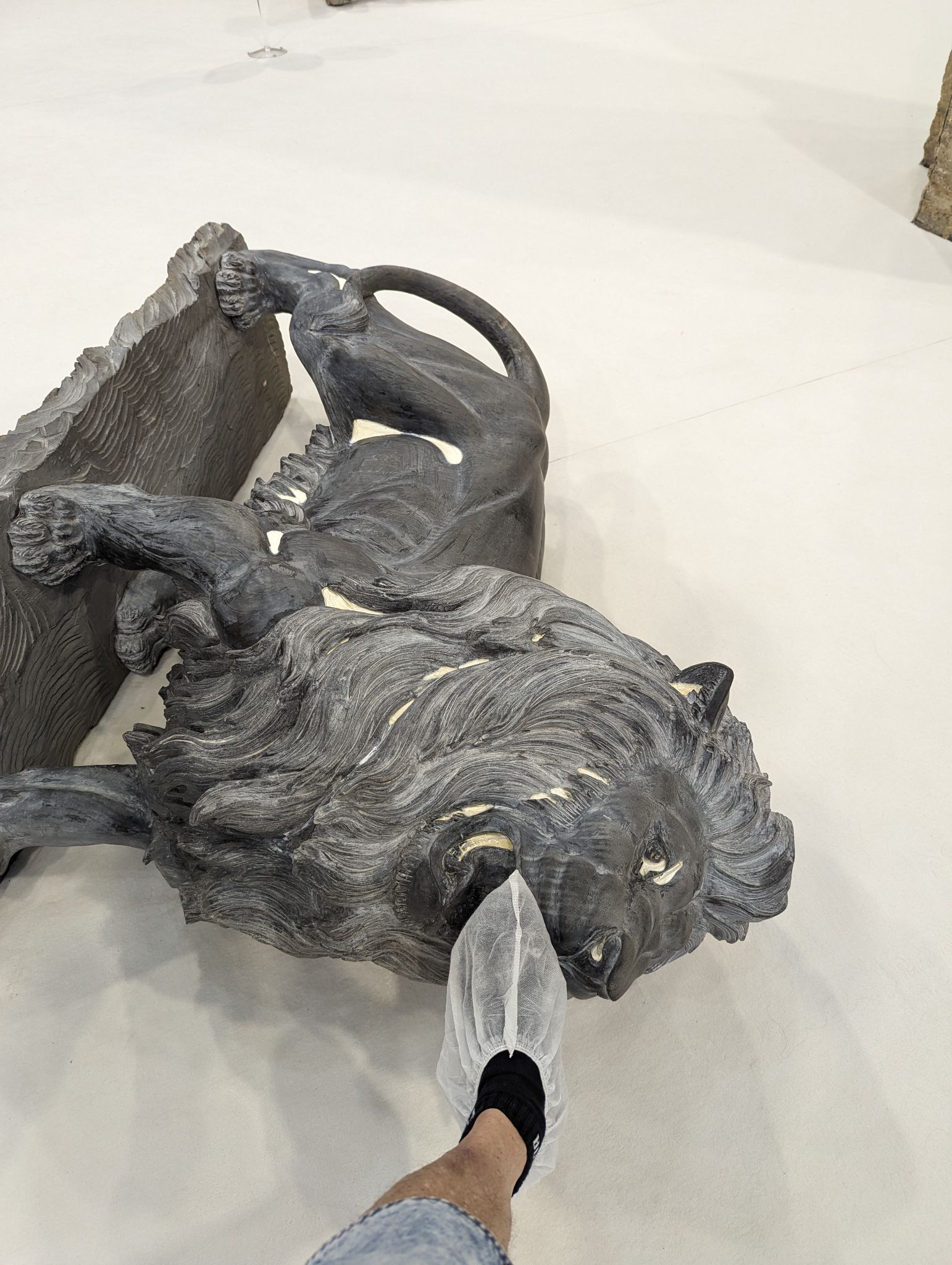 PXL 20240407 144919597.MP