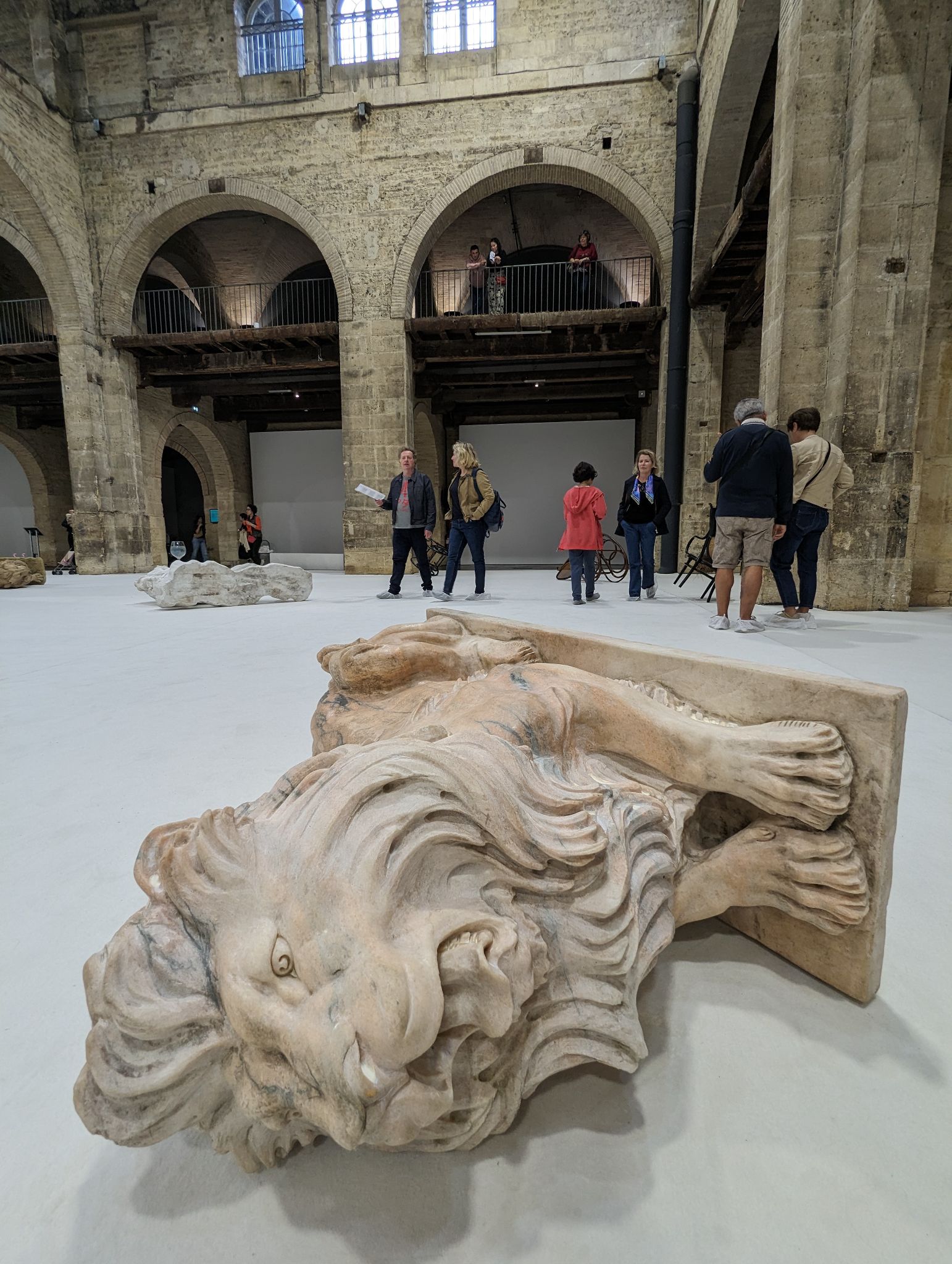 PXL 20240407 145052918