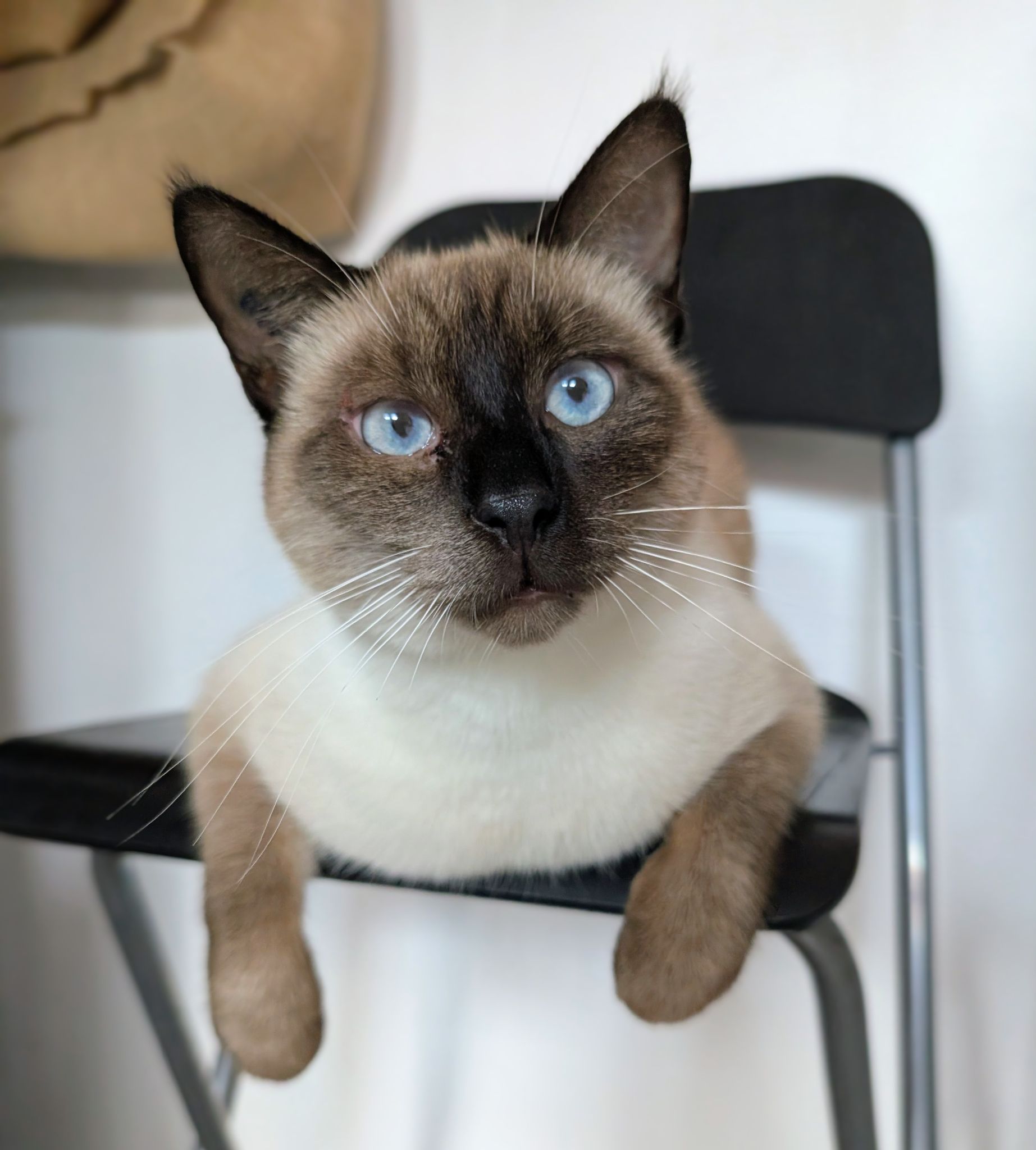 PXL 20251023 114655642.MP~2