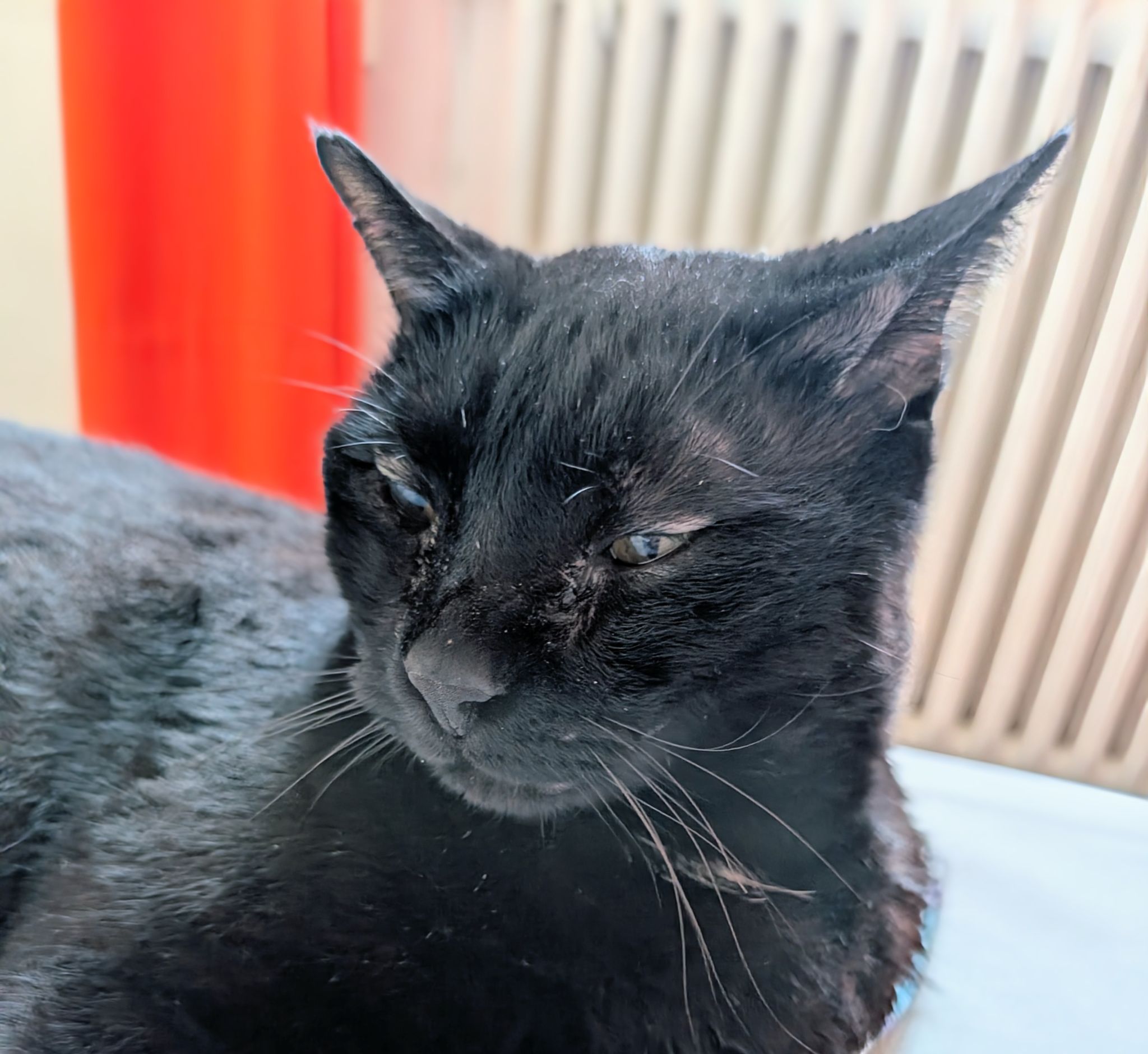 PXL 20260125 134329686~2