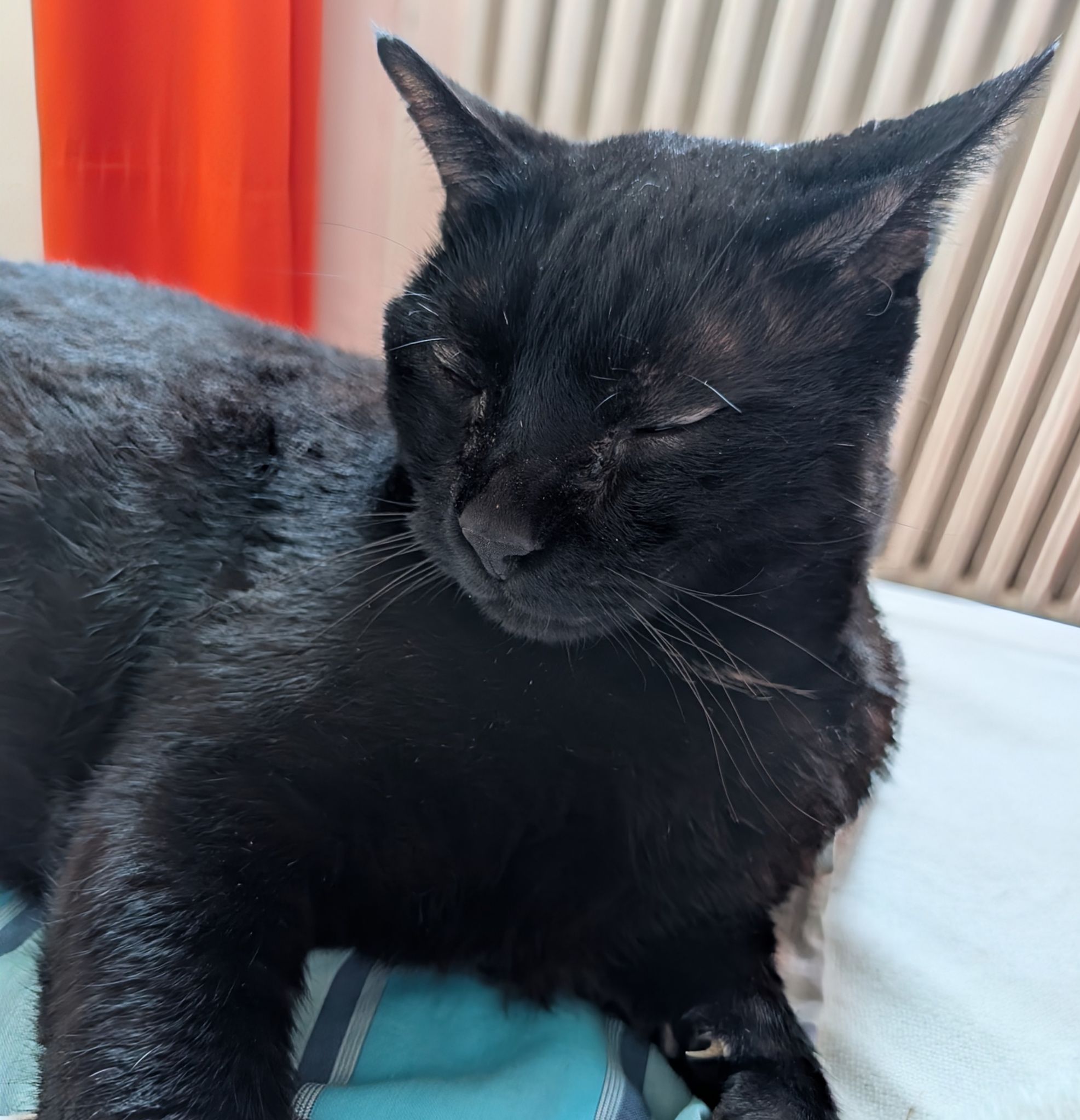 PXL 20260125 134334629~2