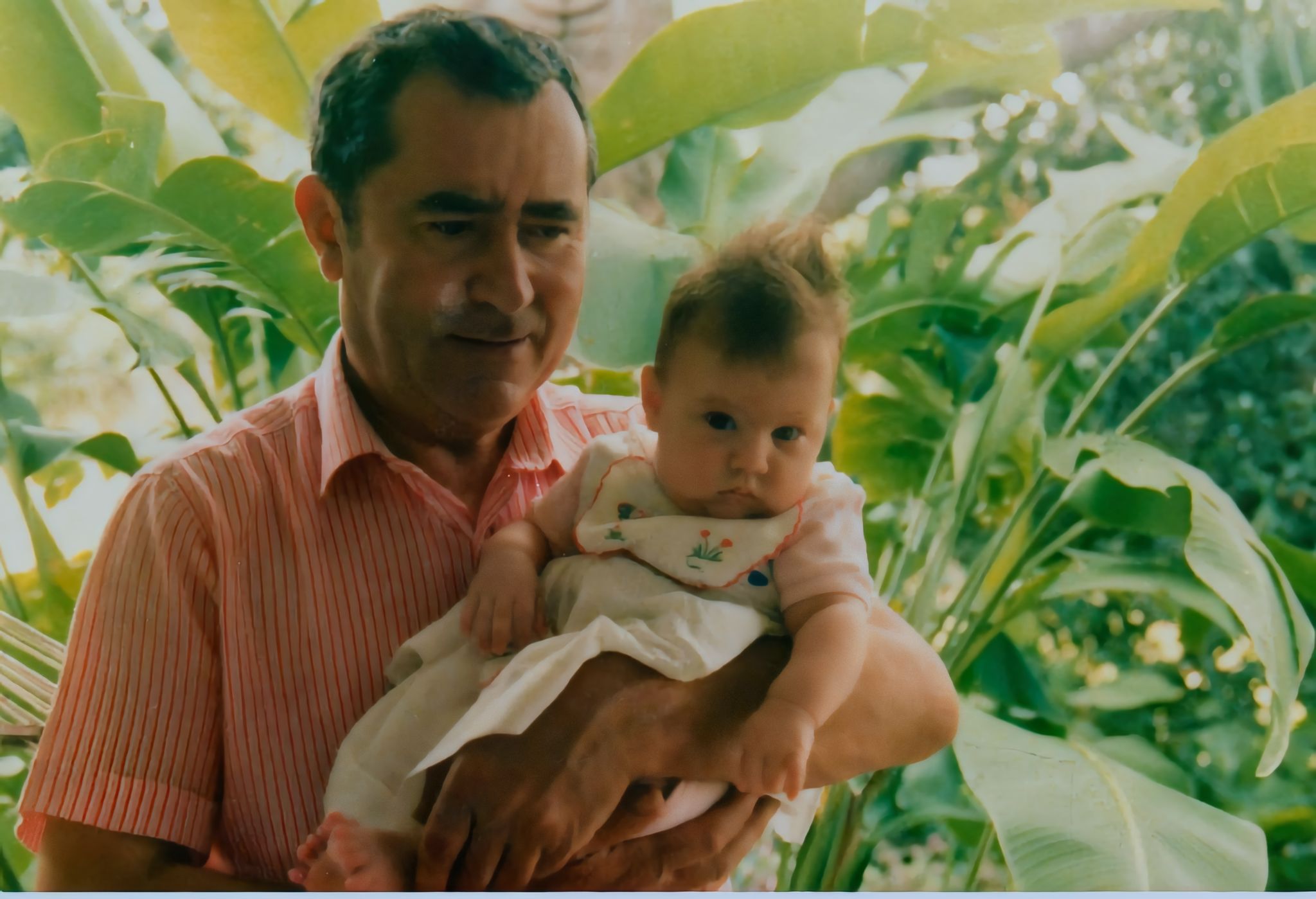 Guy clem 1986 1 Restored