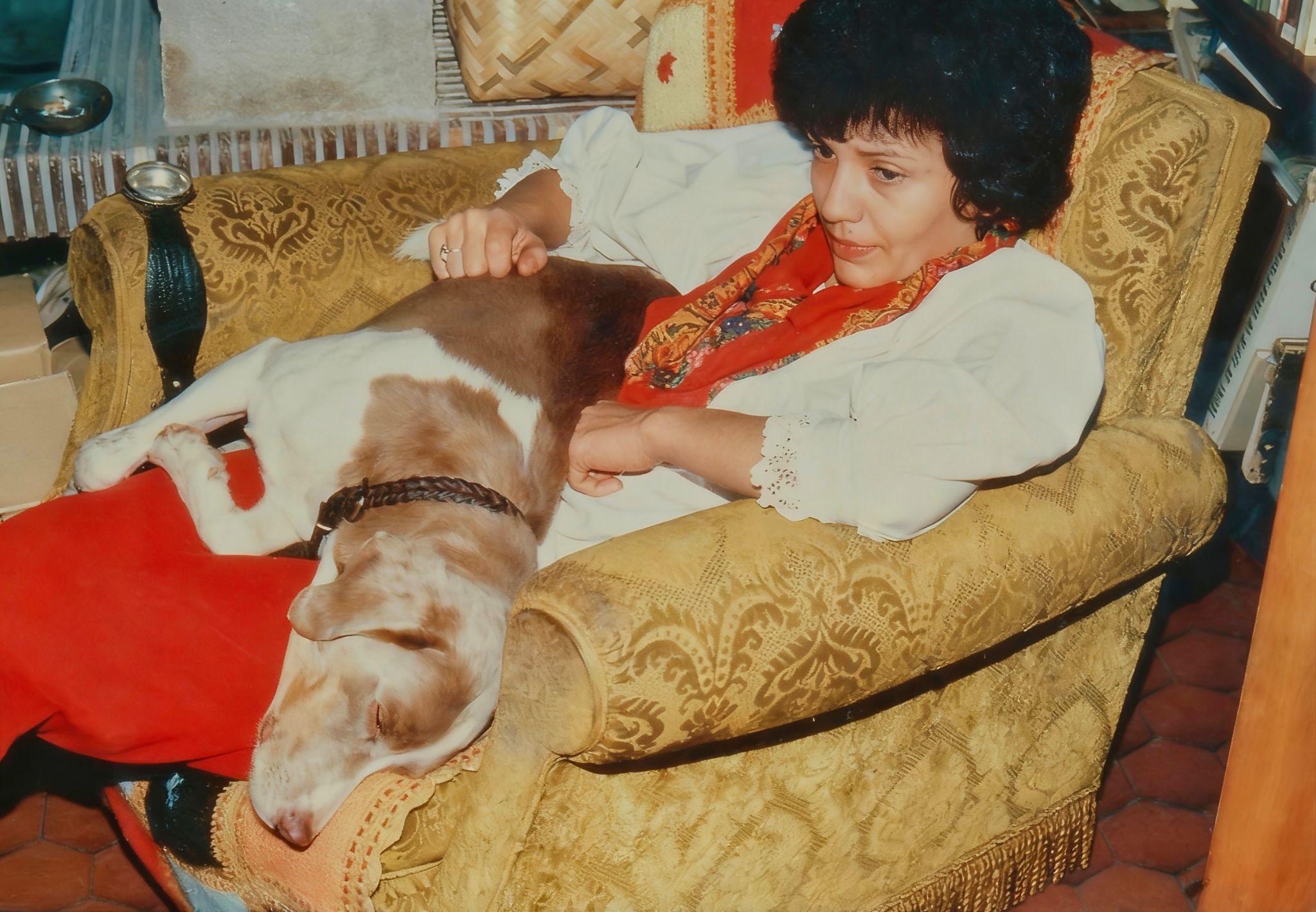 Vero jemea 1979 Restored