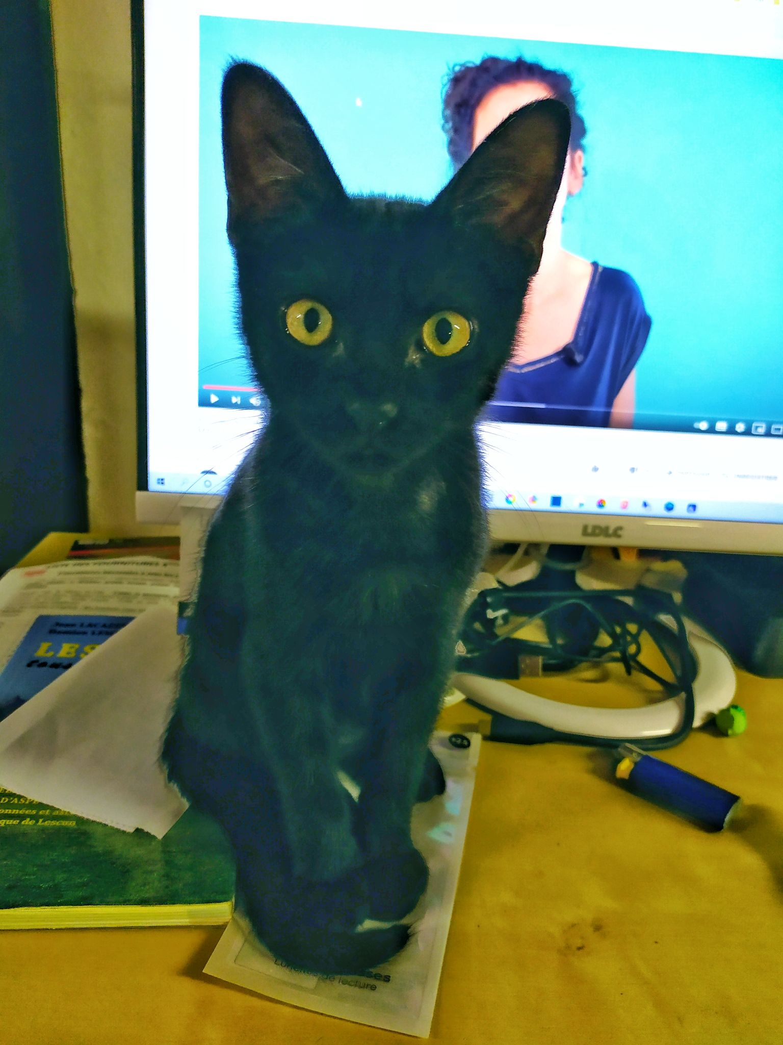 IMG 20210725 142607 01