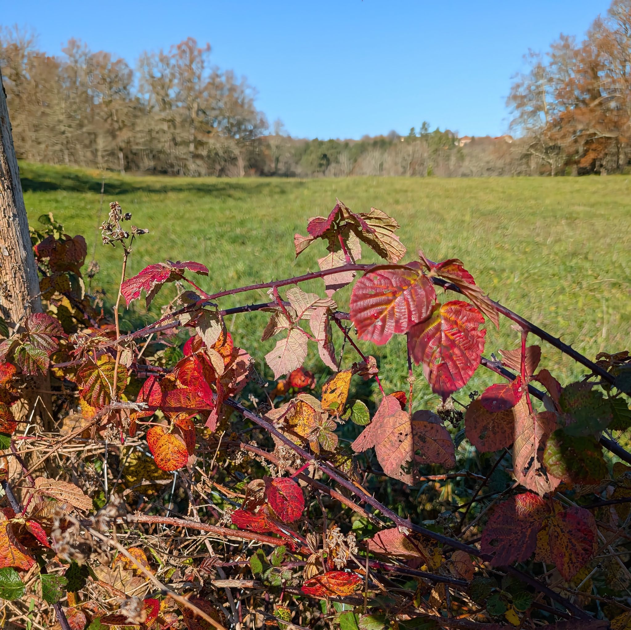 PXL 20251213 105337406