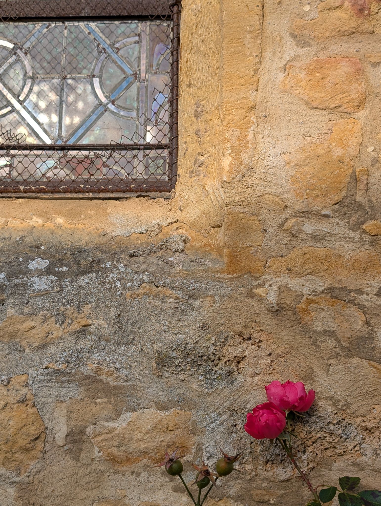 PXL 20251214 110910041.MP