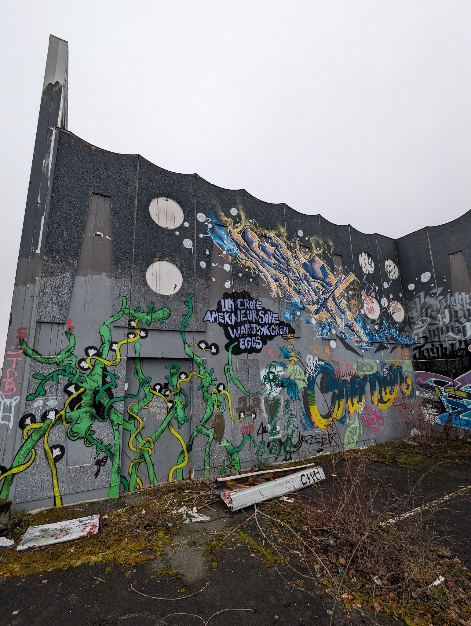 PXL 20240204 103405267