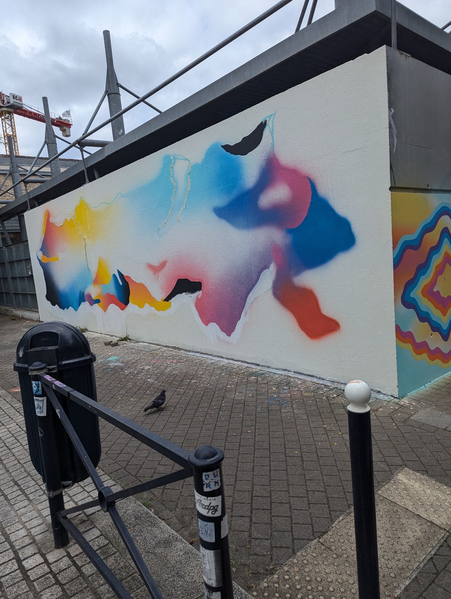 PXL 20240701 094341397