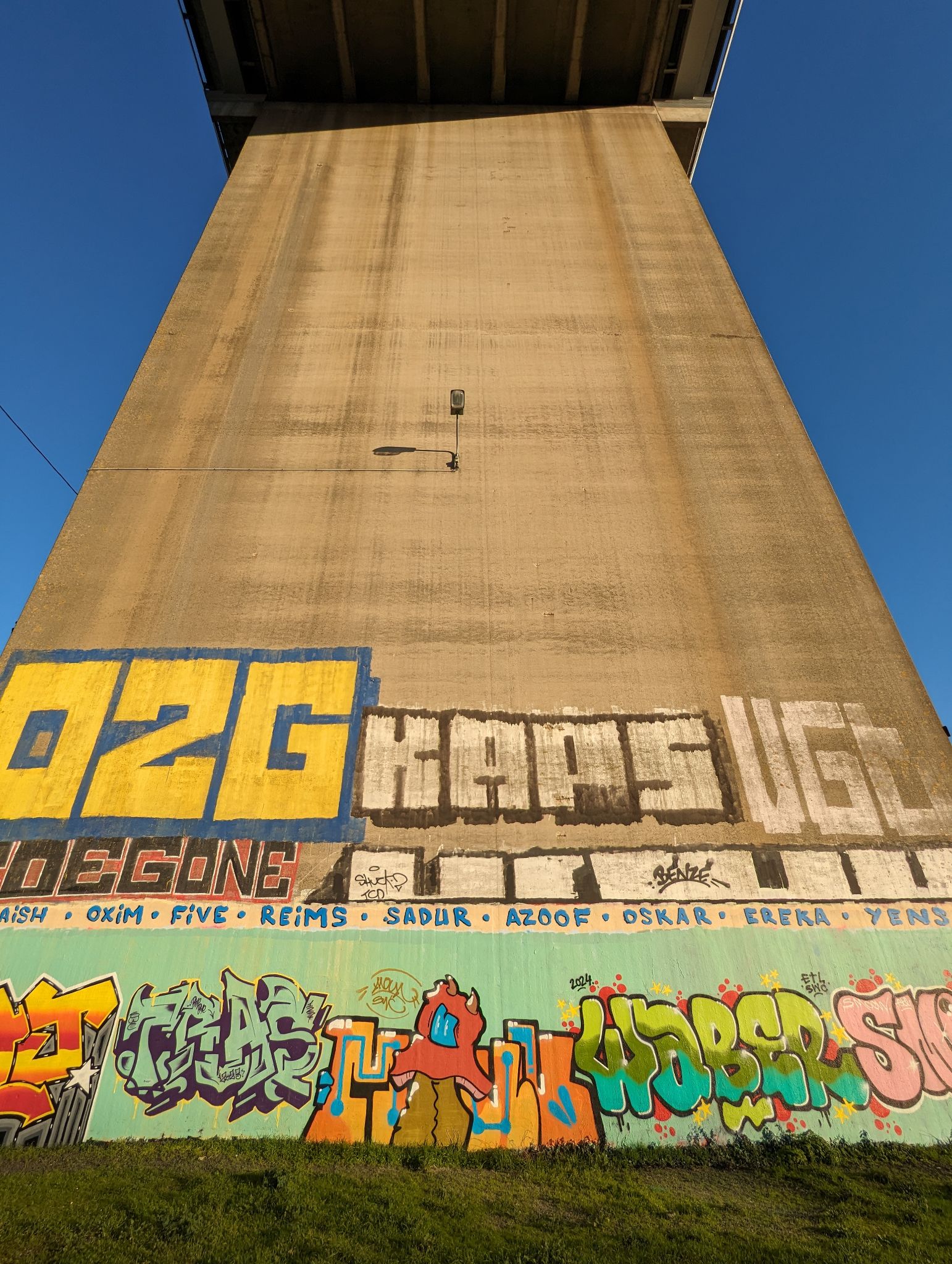 PXL 20240125 155106785