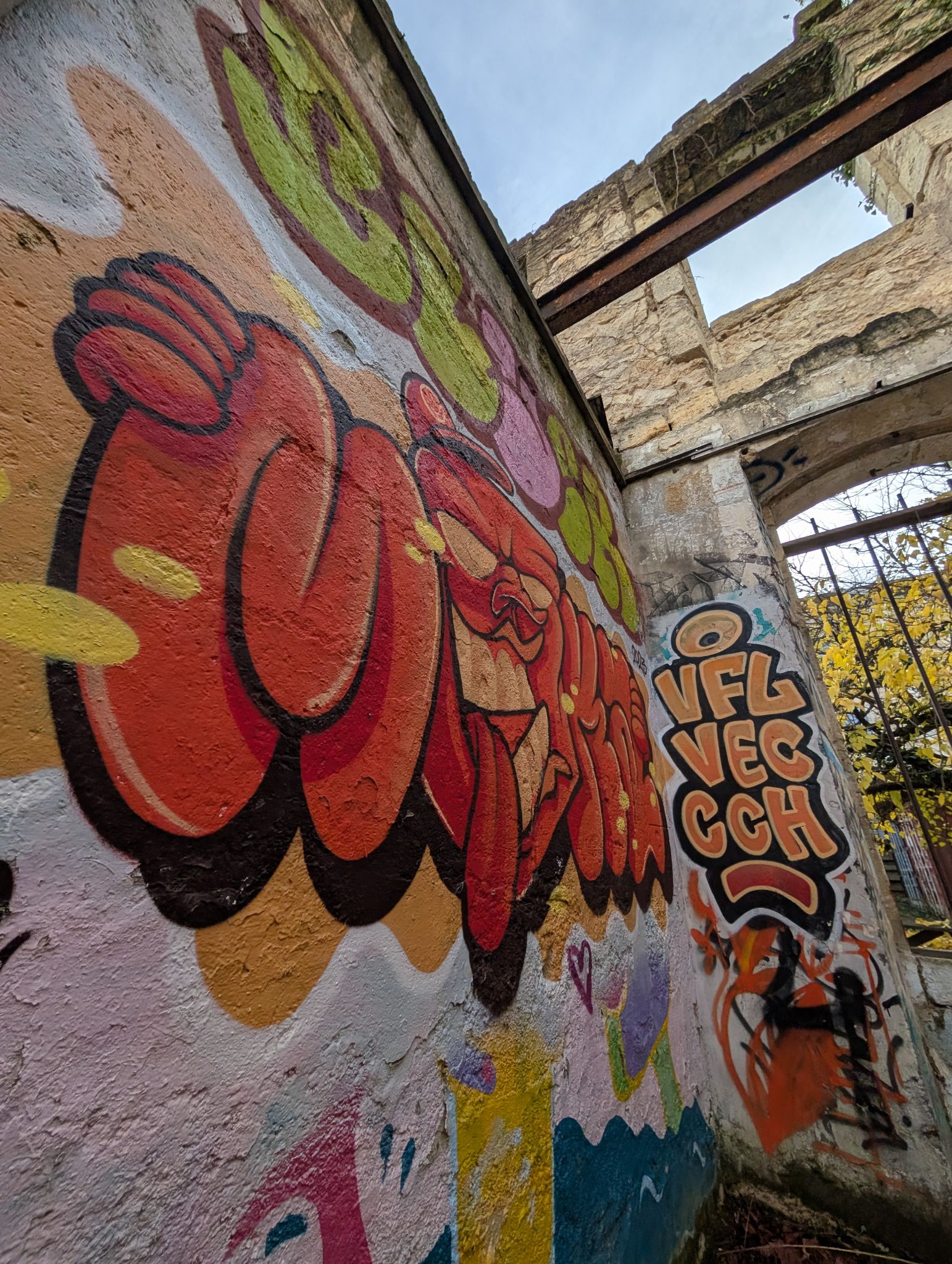 PXL 20251216 135303786