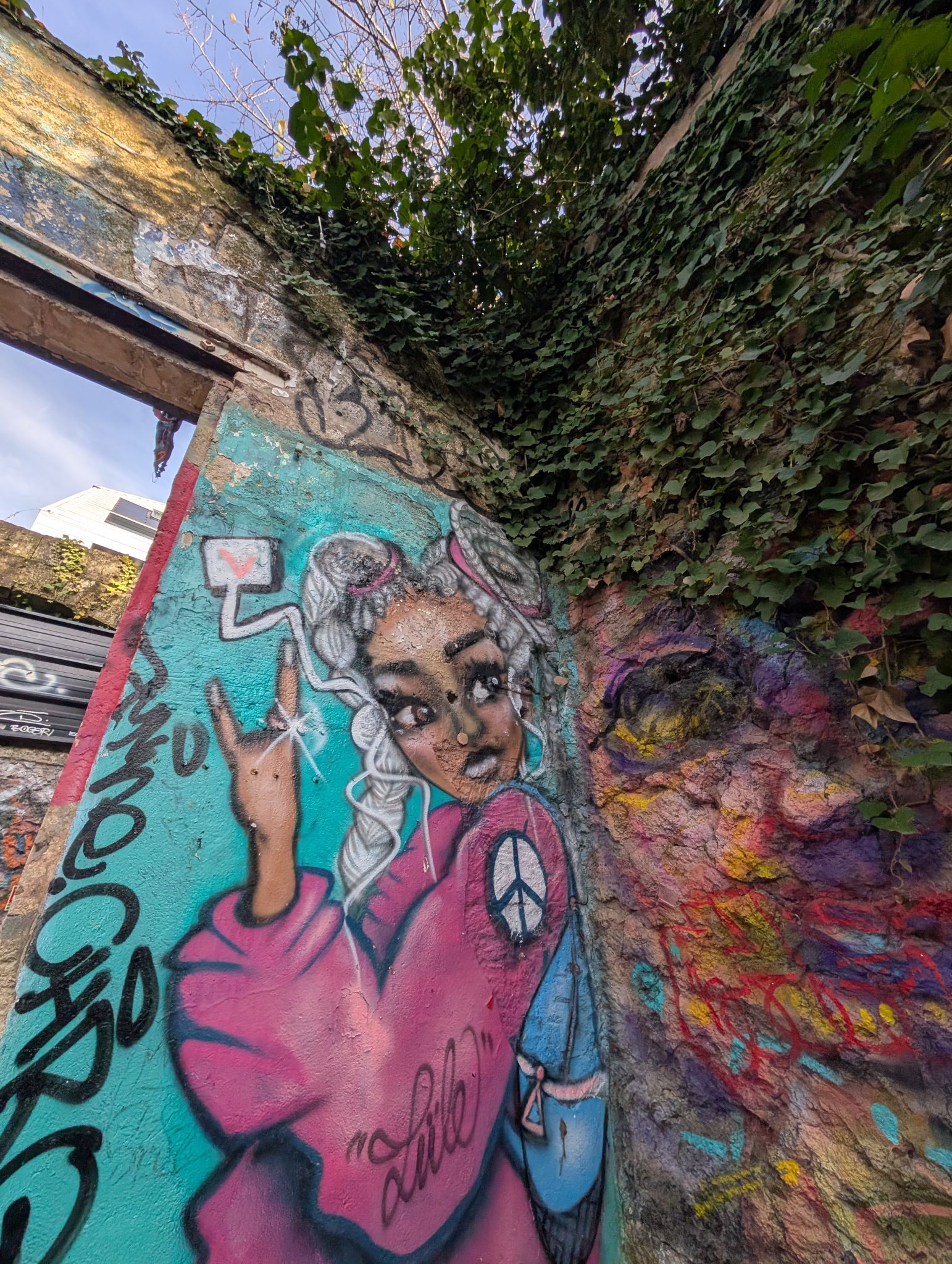 PXL 20251216 135413733