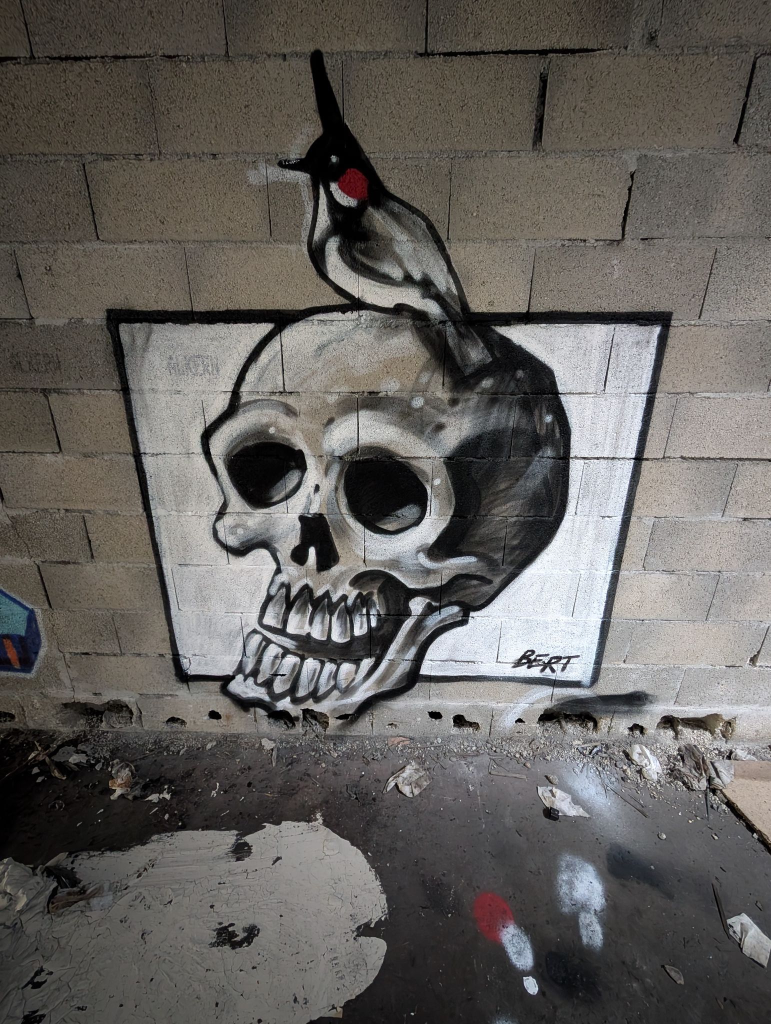 PXL 20250421 130716424