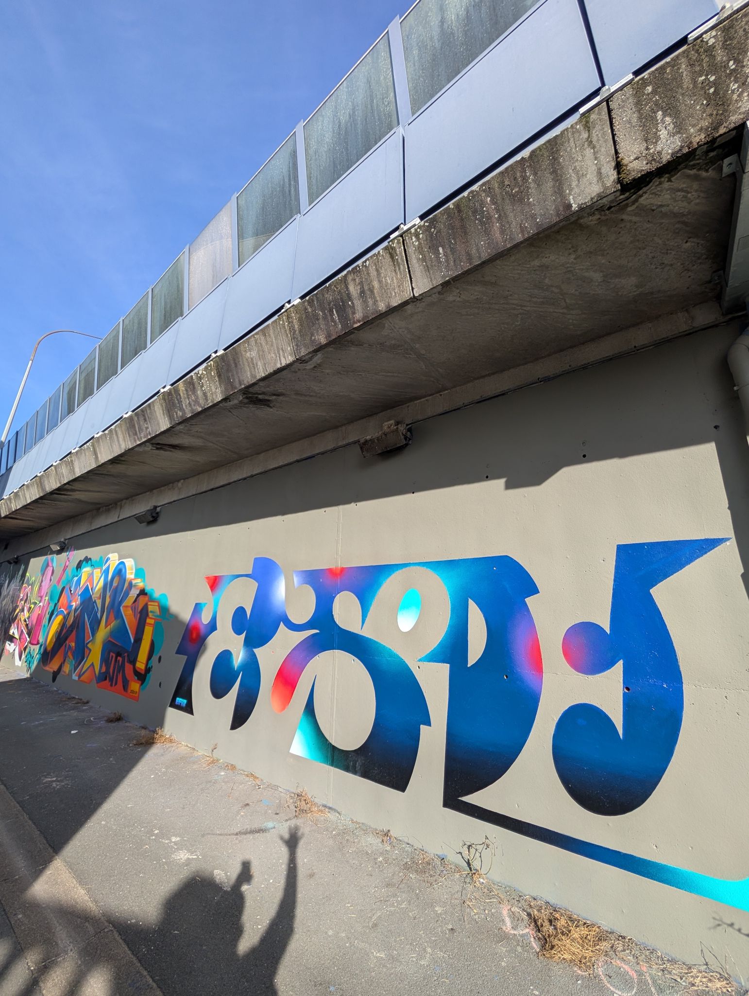 PXL 20250205 135157174