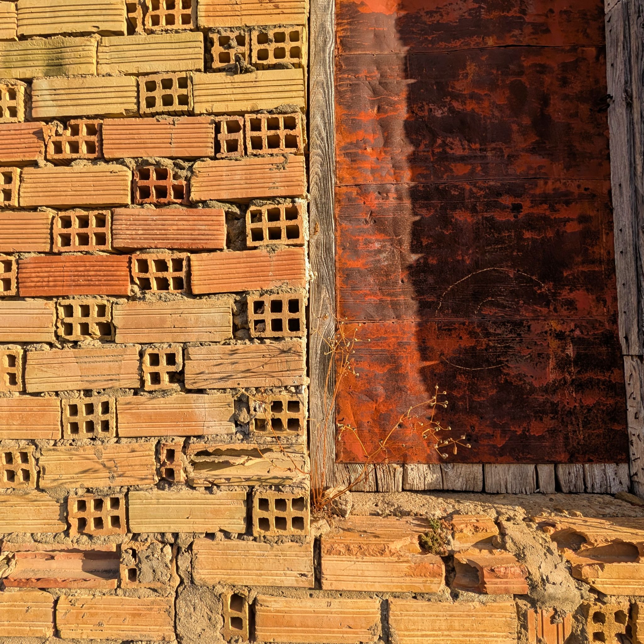 PXL 20250904 065657408