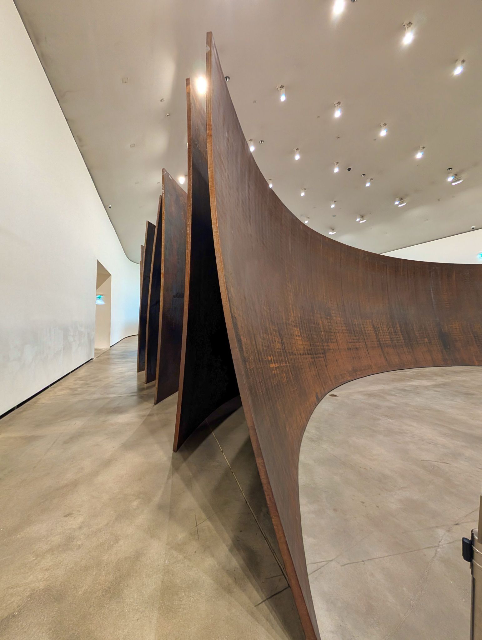 PXL 20250509 082341985