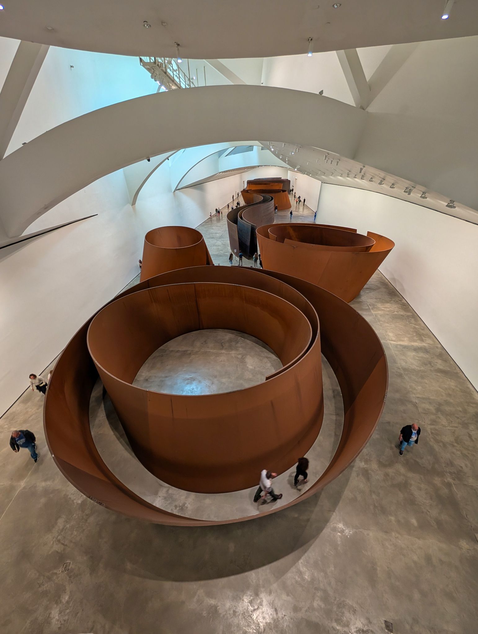 PXL 20250509 091527918