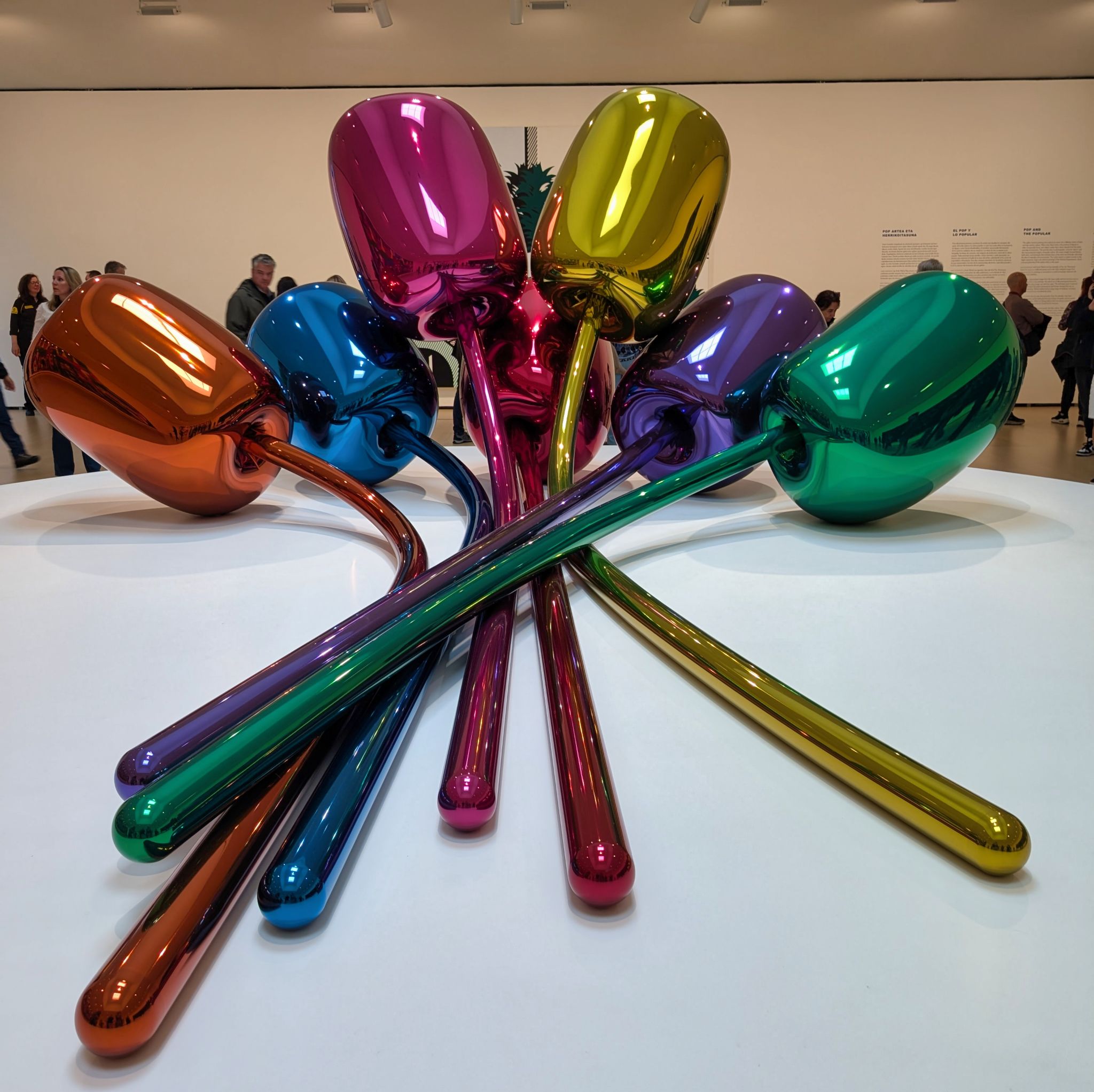 PXL 20250509 094828676