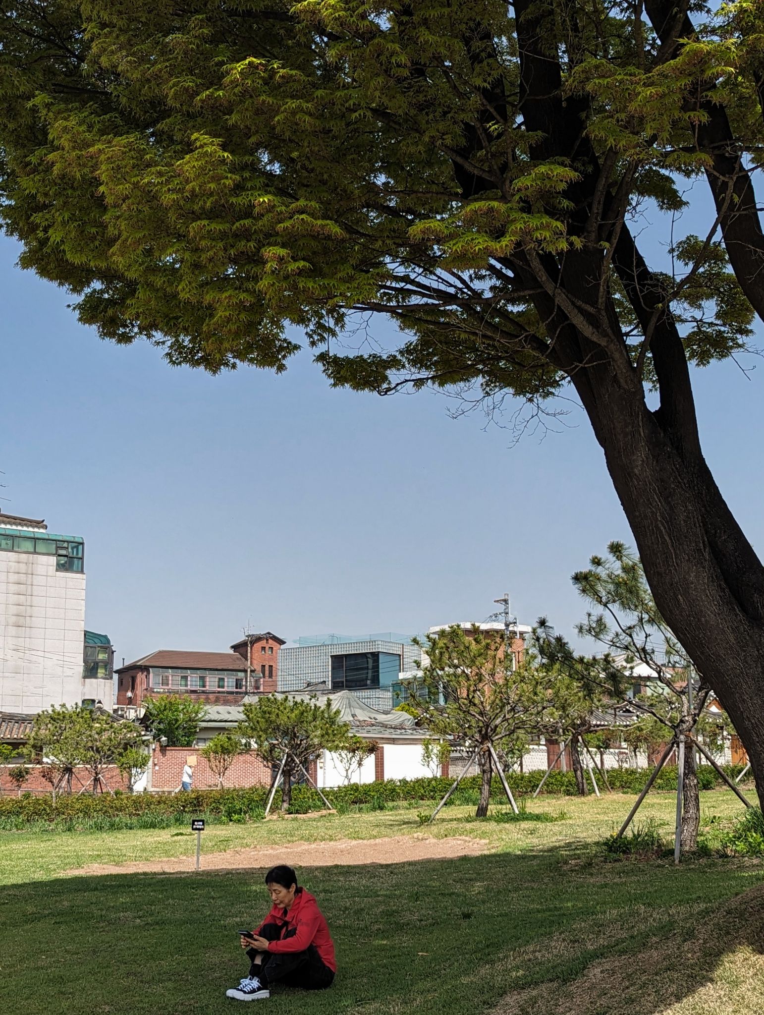 PXL 20240418 012937326