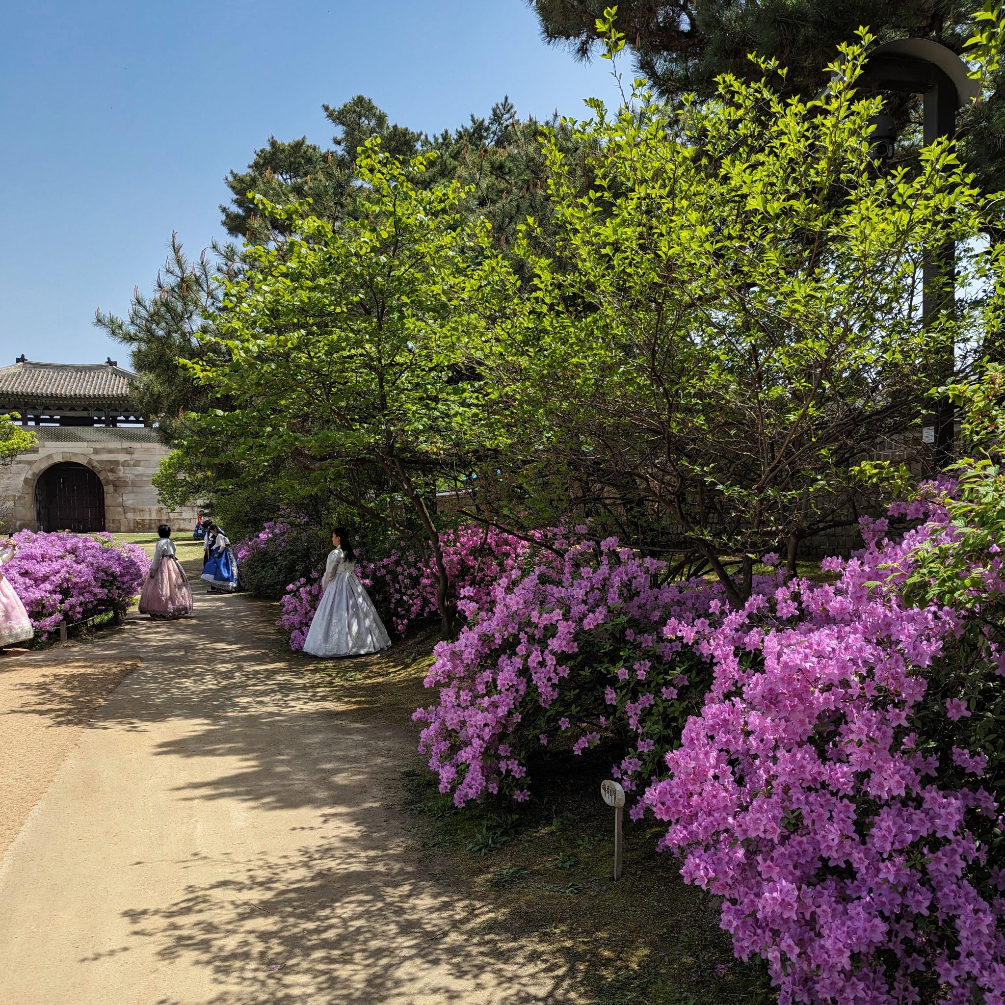 PXL 20240418 033013778