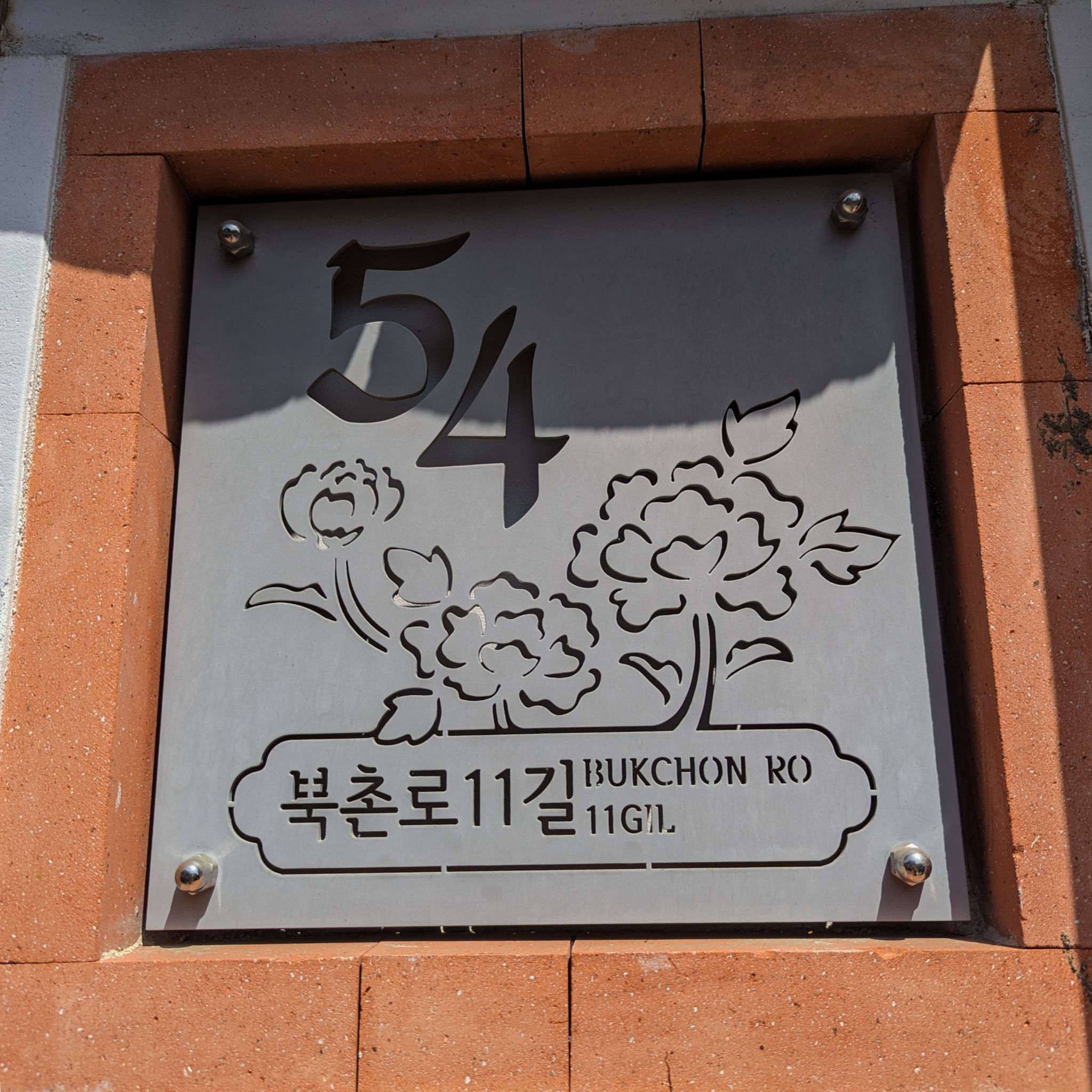 PXL 20240418 045228061