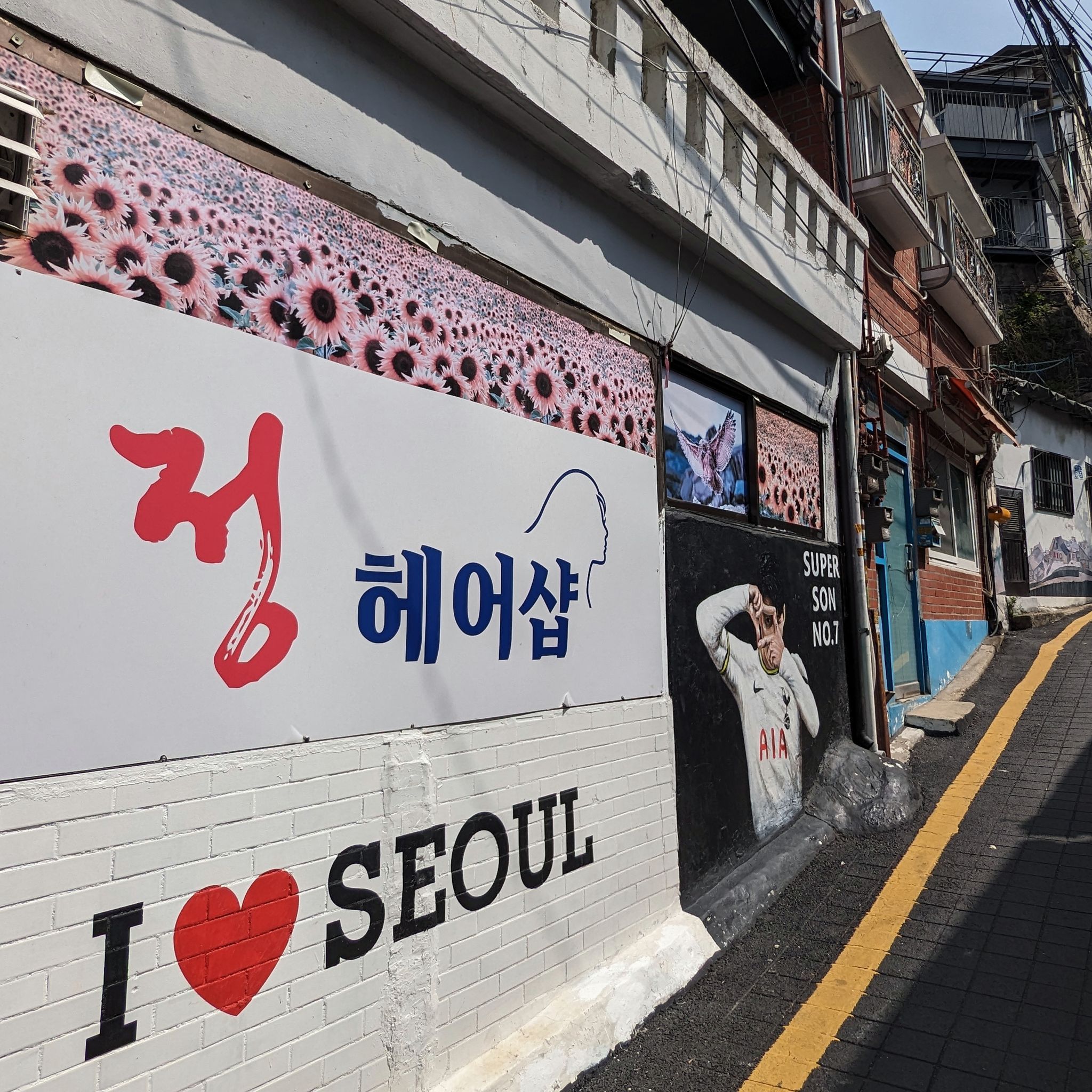 PXL 20240419 012844262