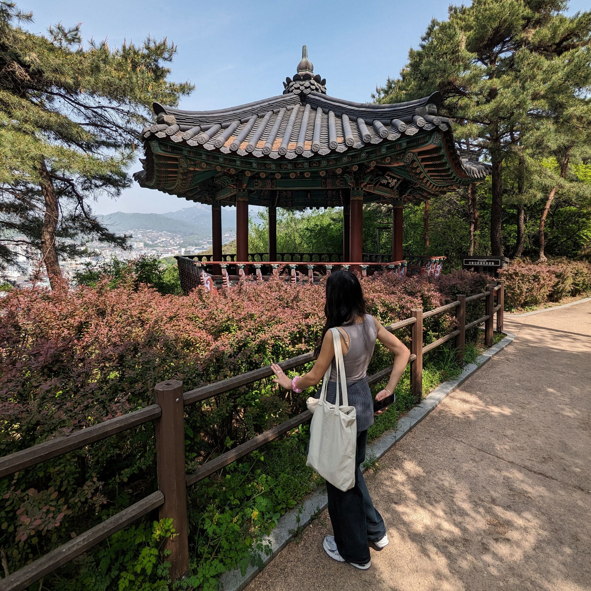 PXL 20240419 014856279