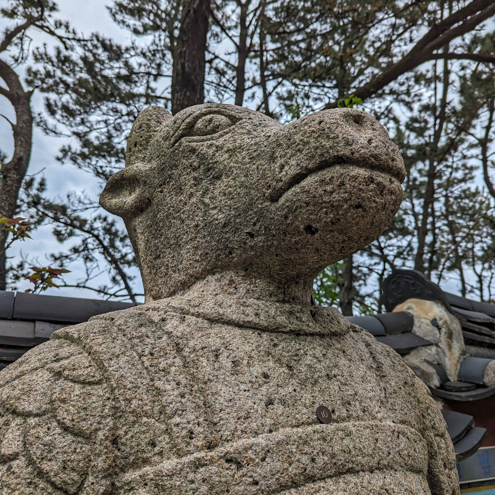 PXL 20240422 055525065