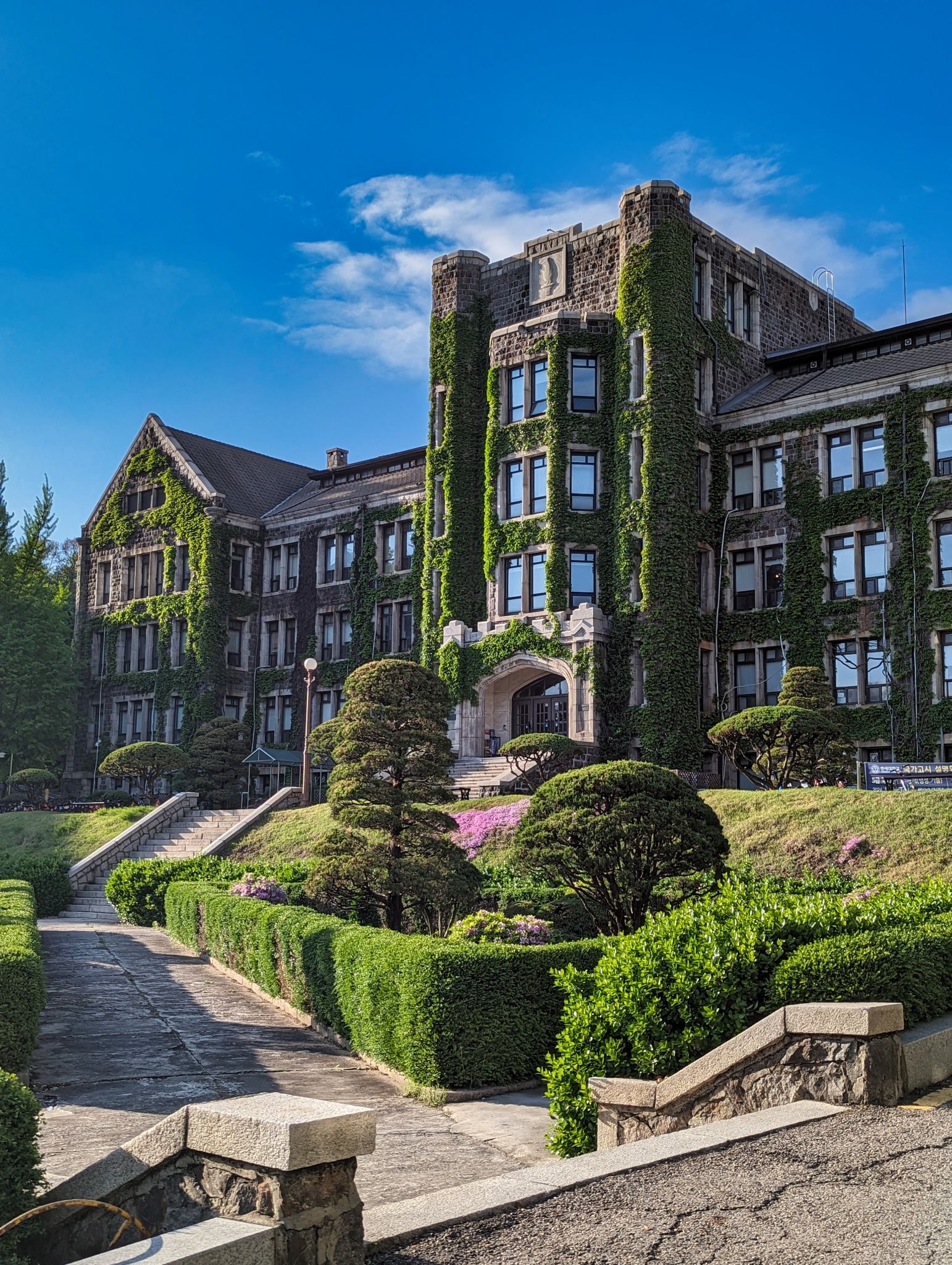 PXL 20240424 083531653