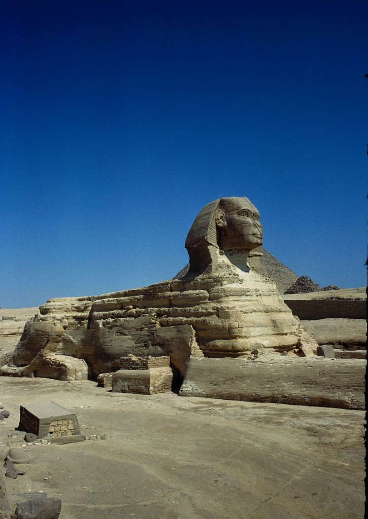 Egypte 4 1981